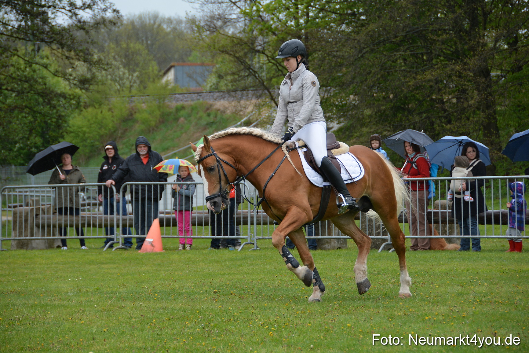 Haflingertreffen Fruehlingsfest 010515 0073