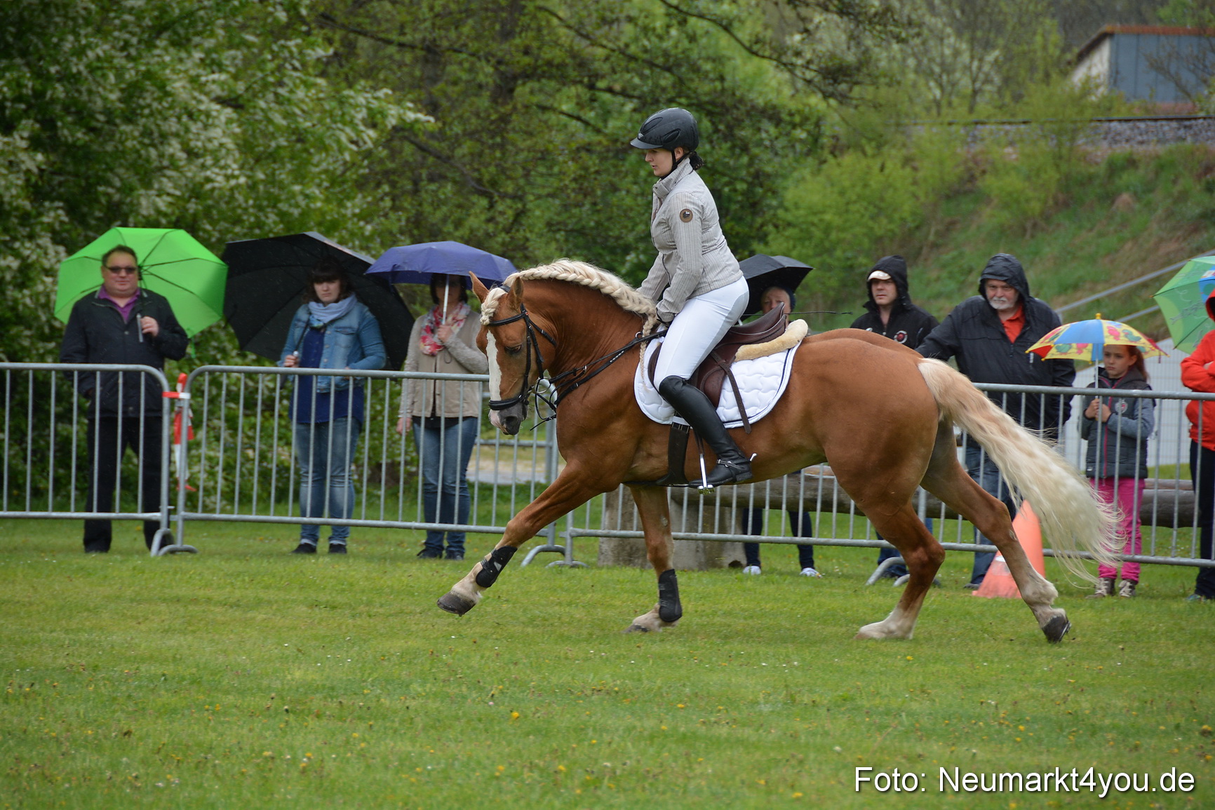 Haflingertreffen Fruehlingsfest 010515 0075