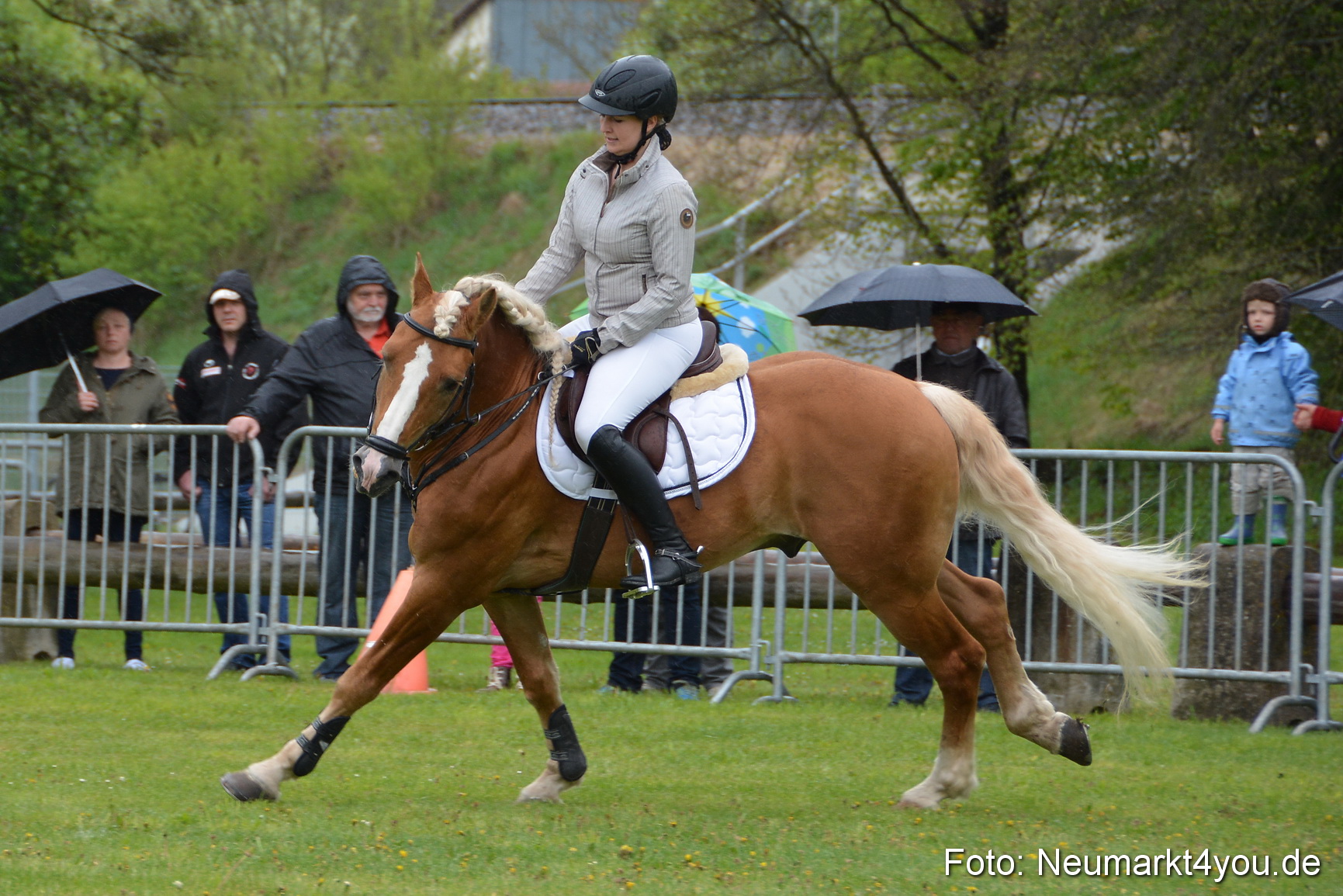 Haflingertreffen Fruehlingsfest 010515 0076