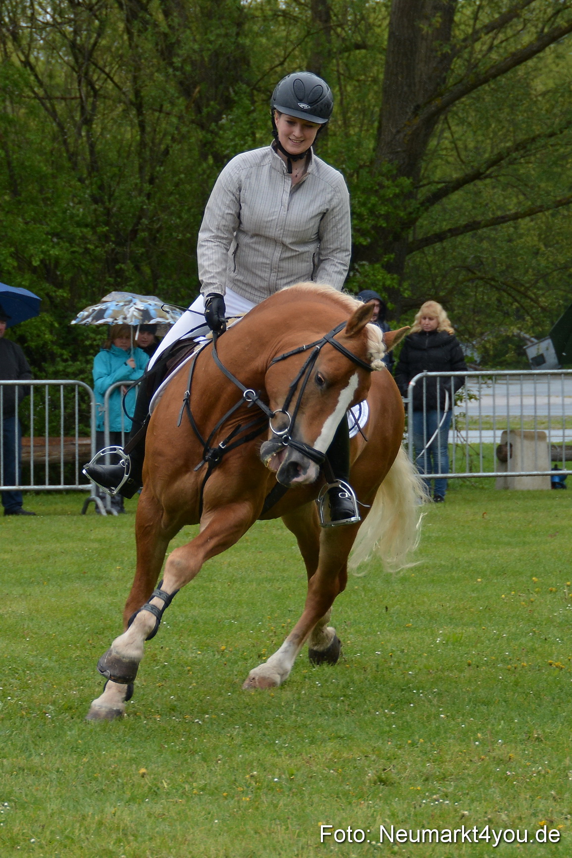 Haflingertreffen Fruehlingsfest 010515 0077