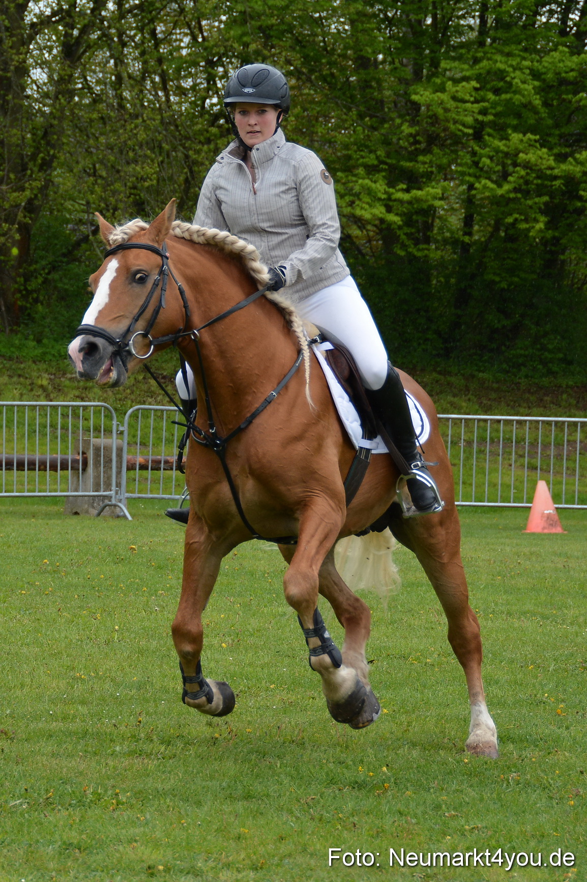 Haflingertreffen Fruehlingsfest 010515 0078