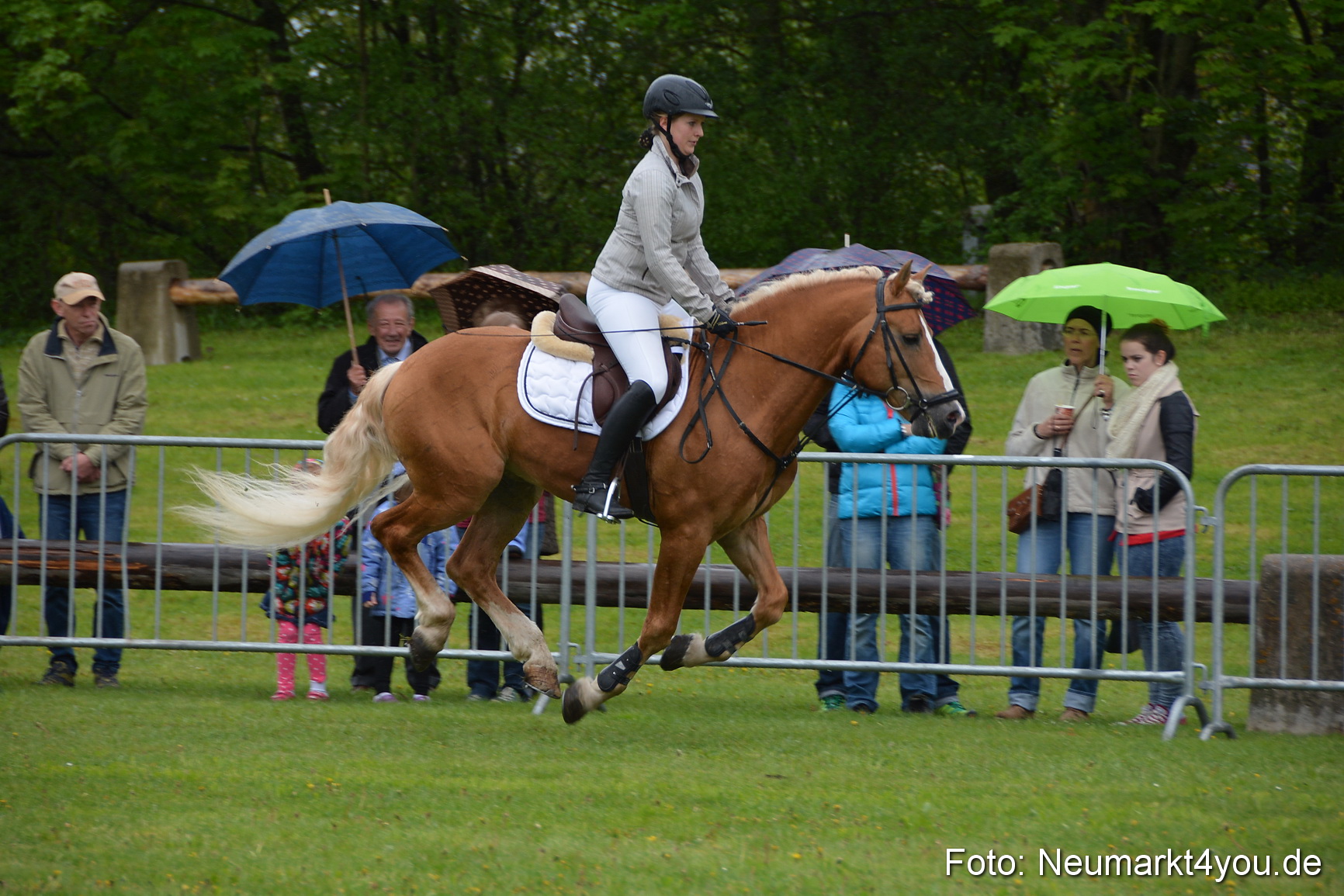 Haflingertreffen Fruehlingsfest 010515 0079