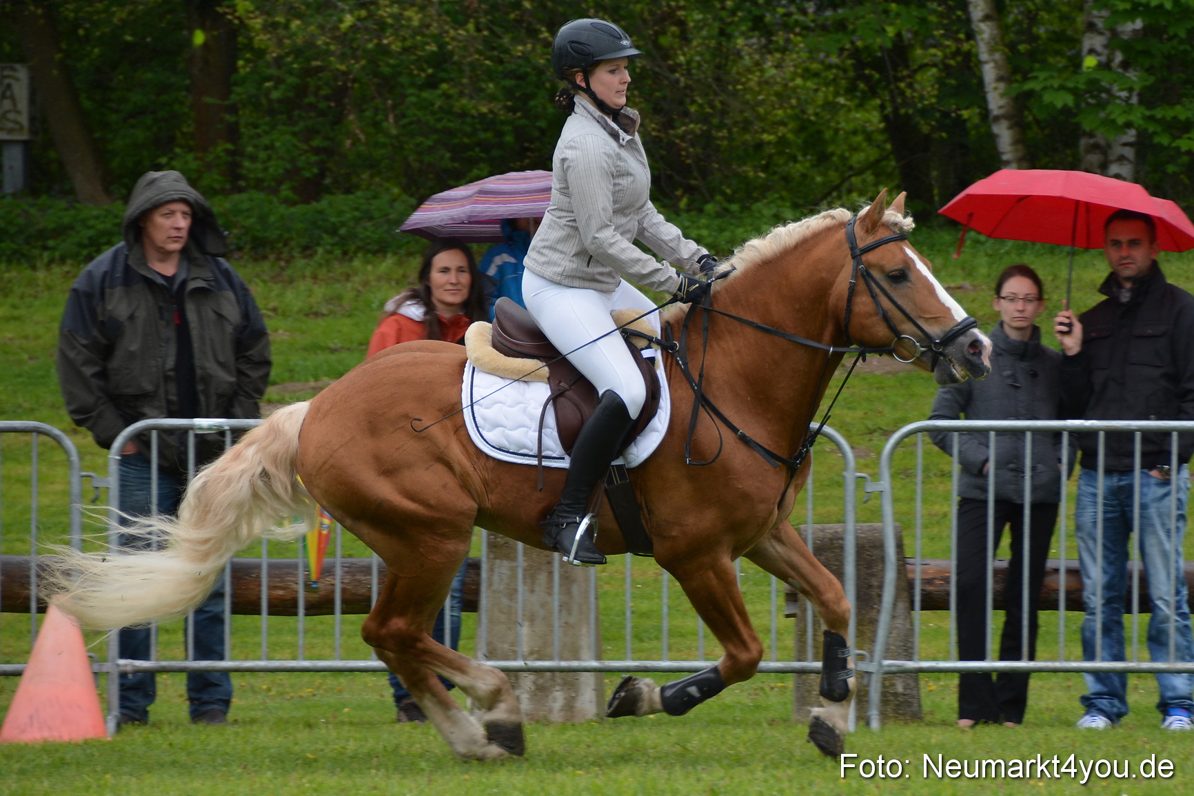 Haflingertreffen Fruehlingsfest 010515 0080