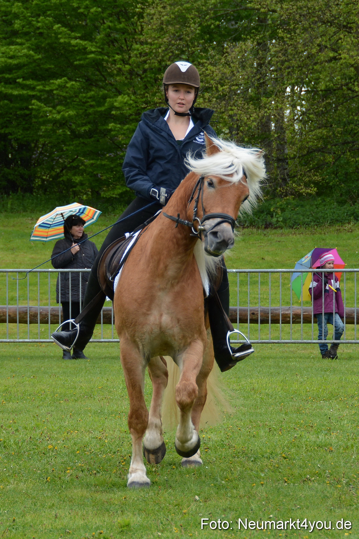 Haflingertreffen Fruehlingsfest 010515 0109