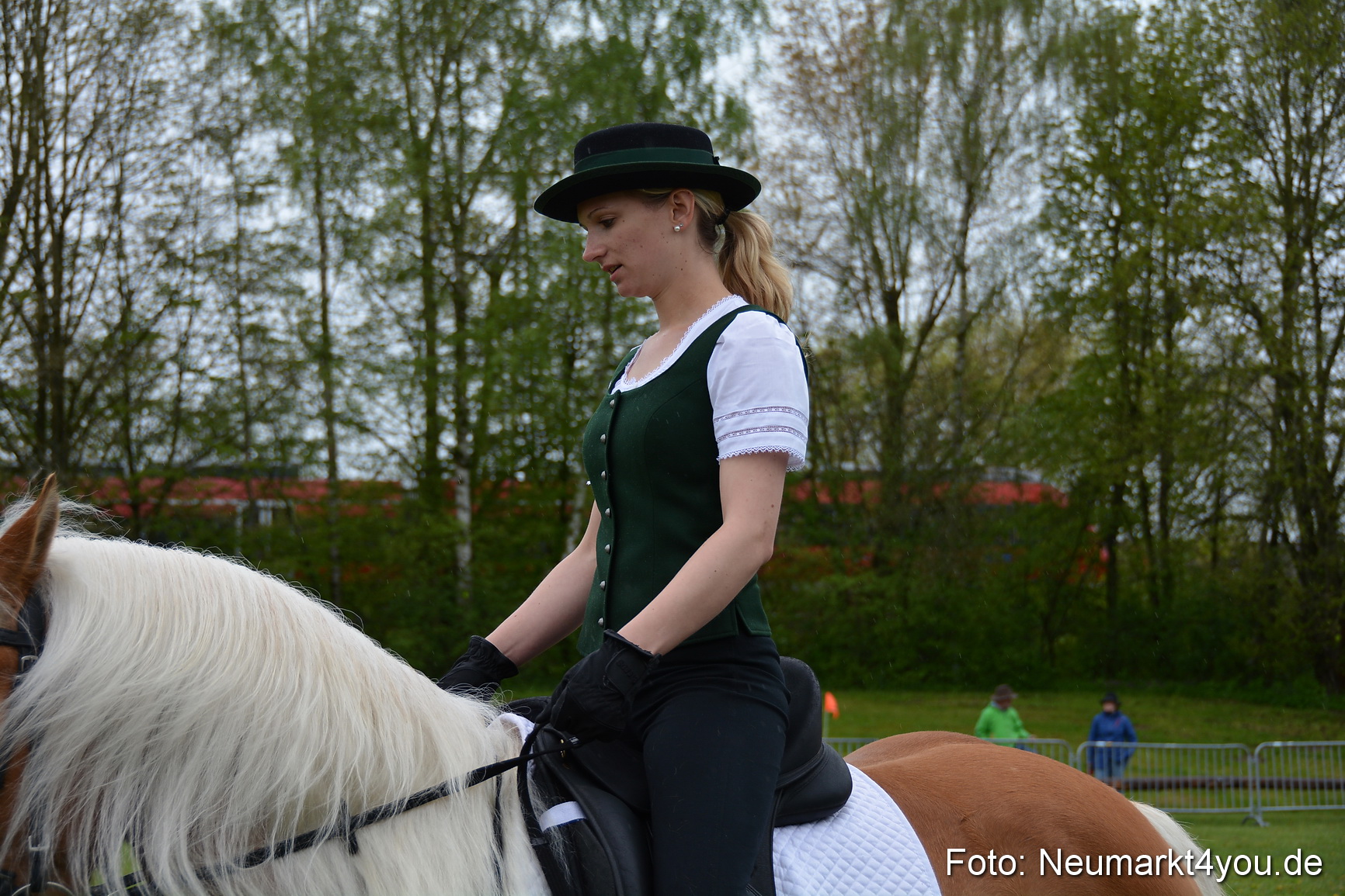 Haflingertreffen Fruehlingsfest 010515 0110