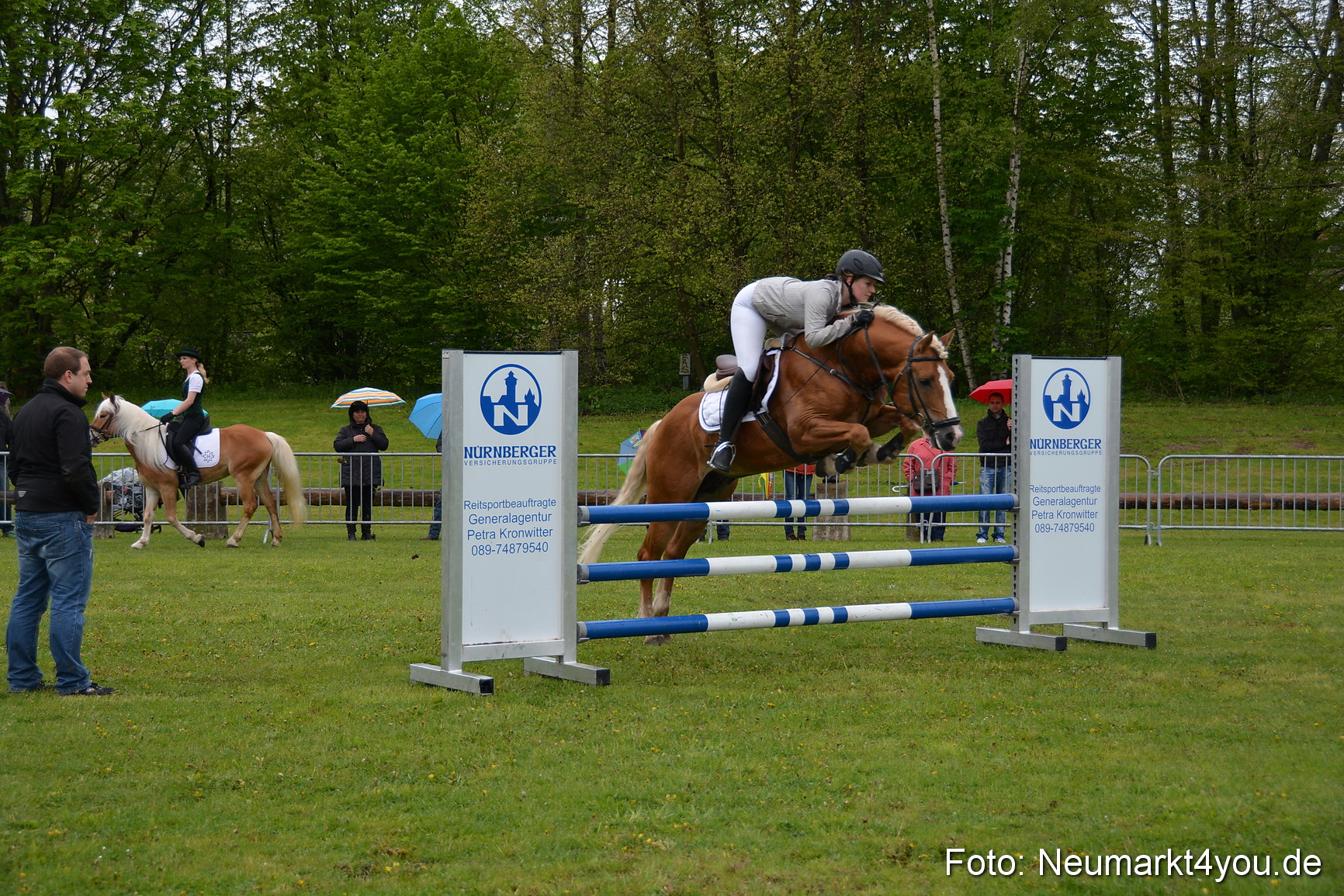 Haflingertreffen Fruehlingsfest 010515 0114