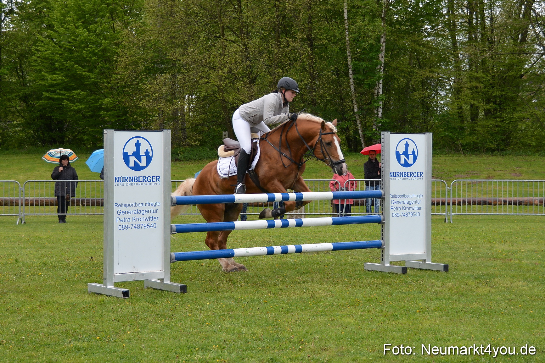 Haflingertreffen Fruehlingsfest 010515 0116