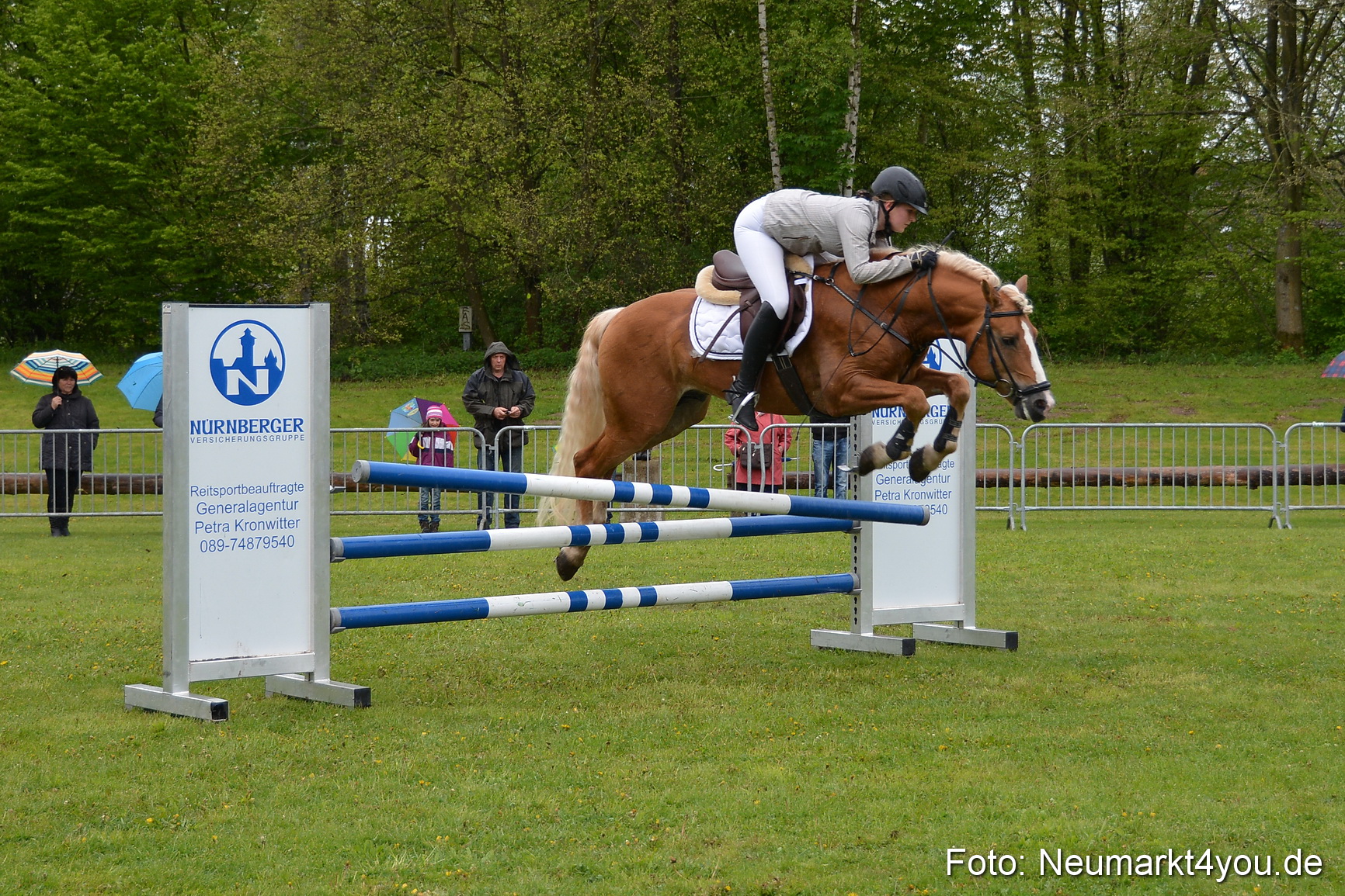 Haflingertreffen Fruehlingsfest 010515 0117