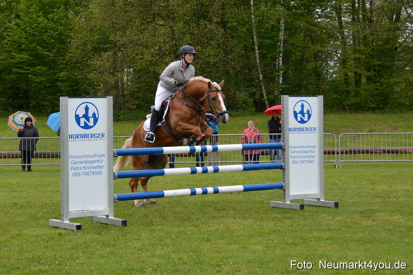 Haflingertreffen Fruehlingsfest 010515 0118