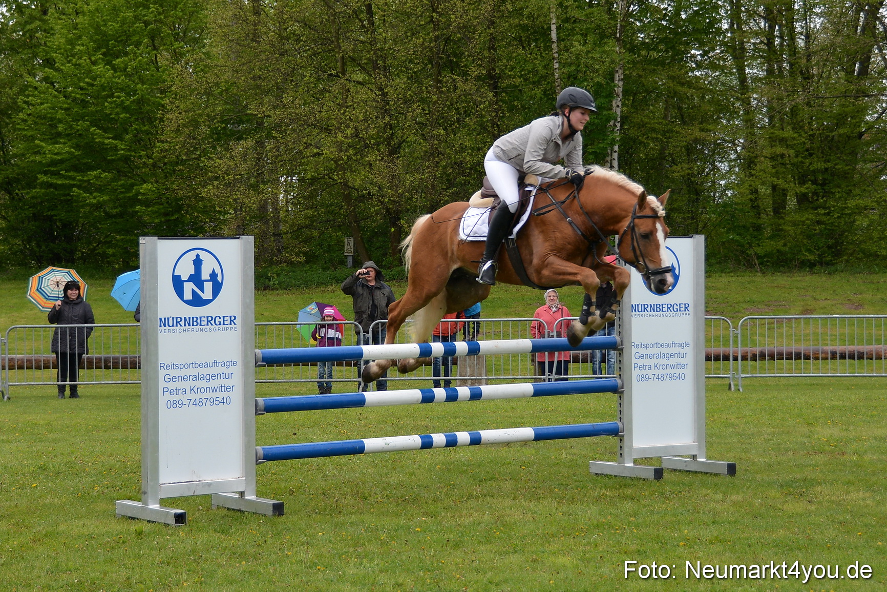 Haflingertreffen Fruehlingsfest 010515 0119