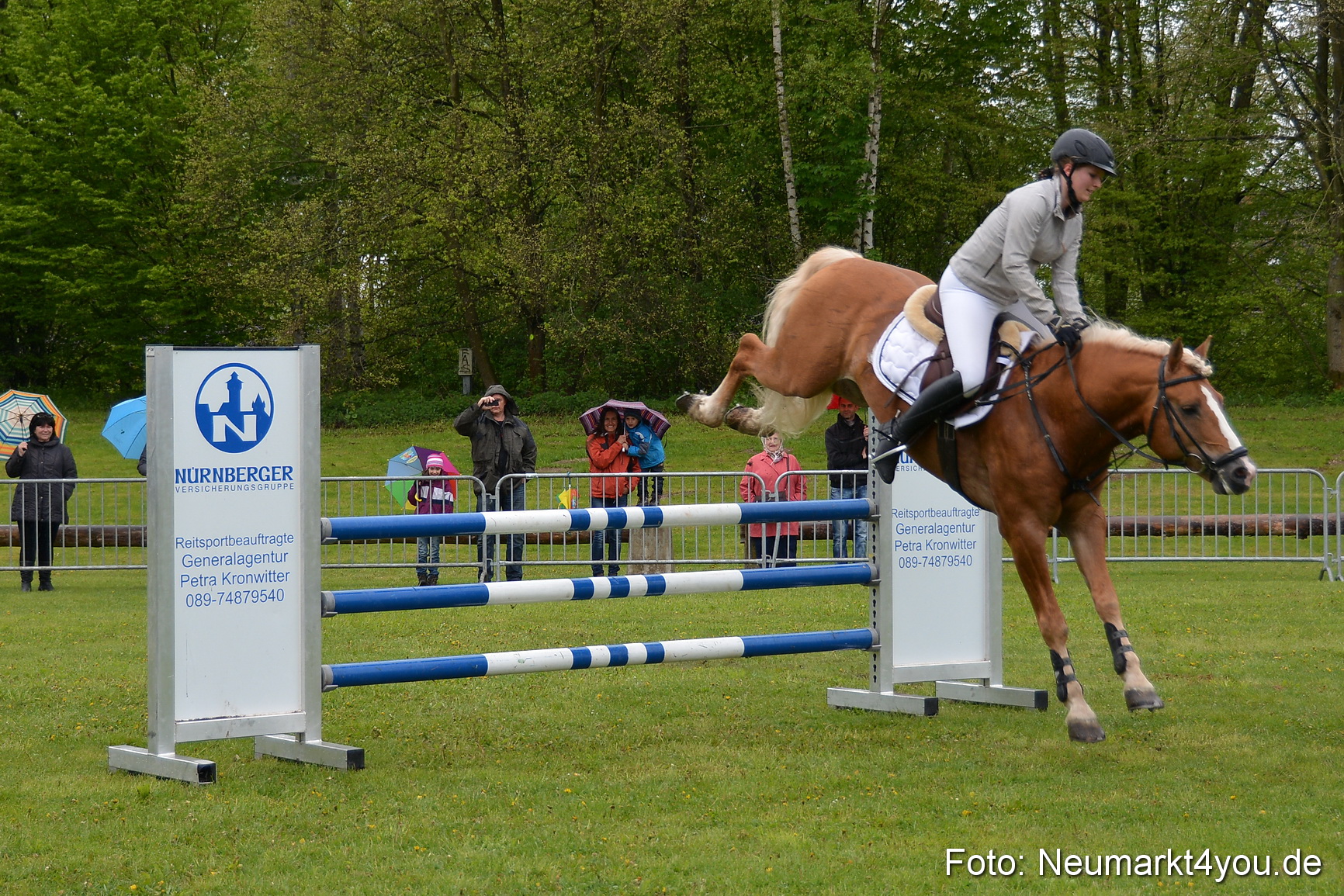 Haflingertreffen Fruehlingsfest 010515 0120