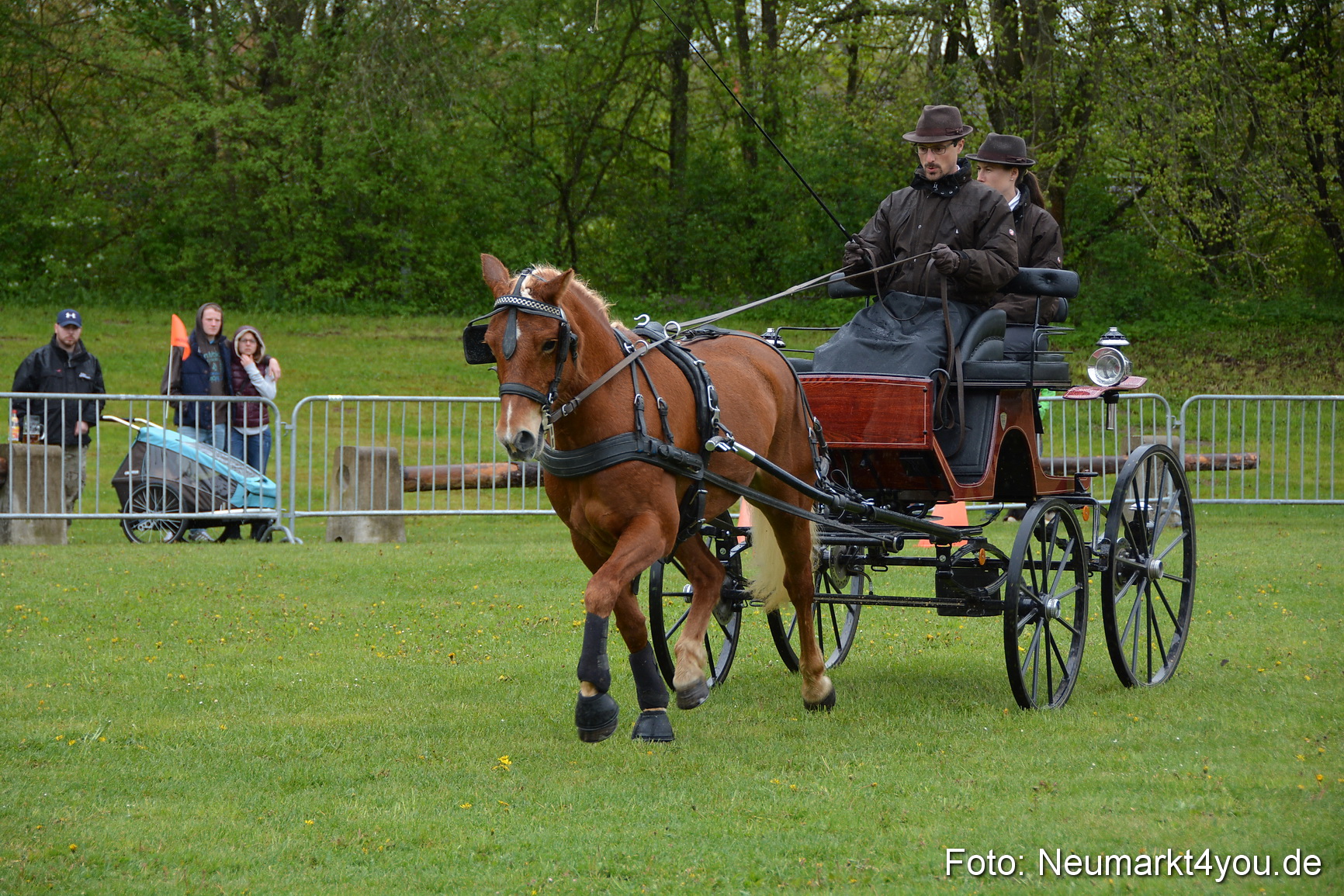 Haflingertreffen Fruehlingsfest 010515 0127