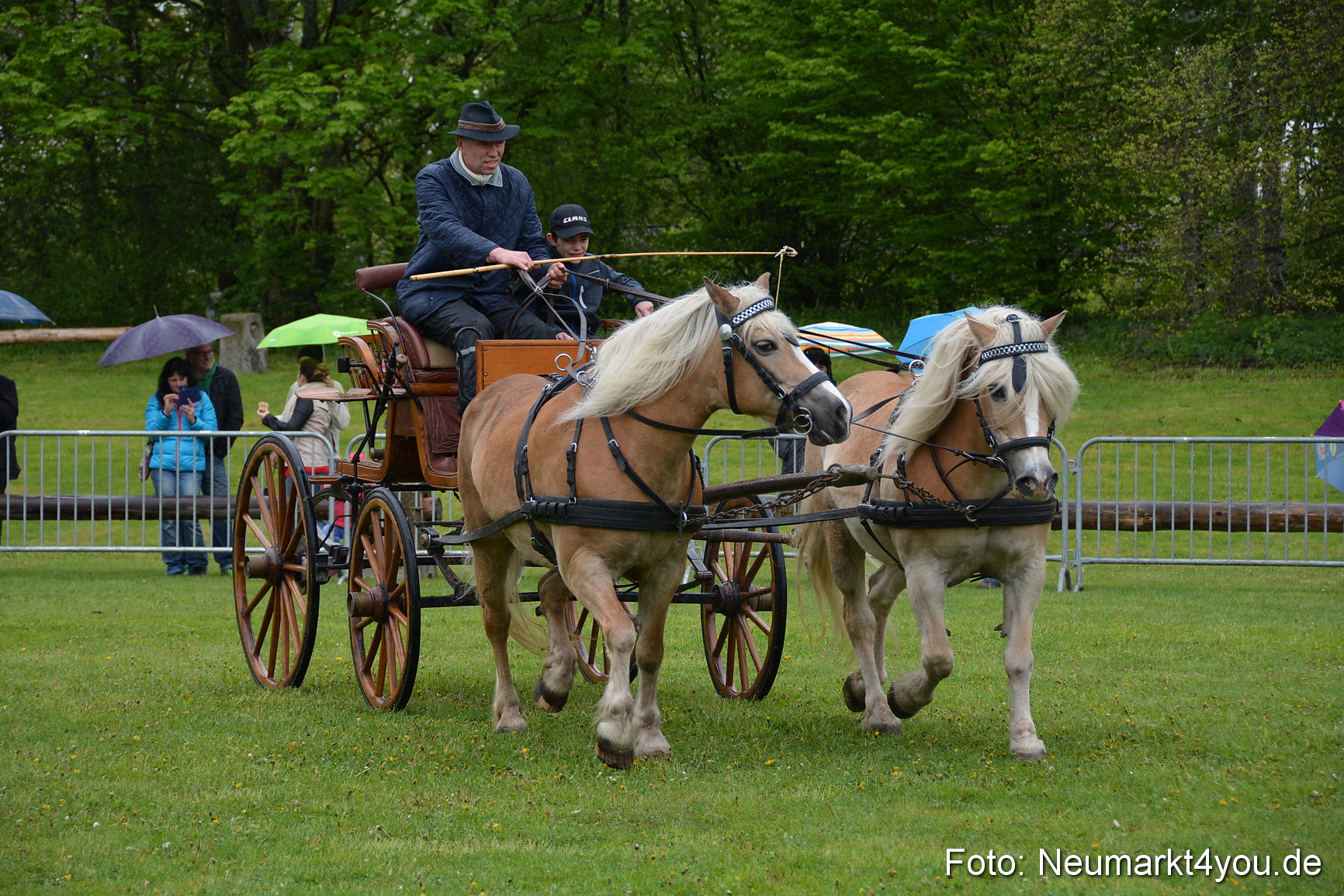 Haflingertreffen Fruehlingsfest 010515 0132
