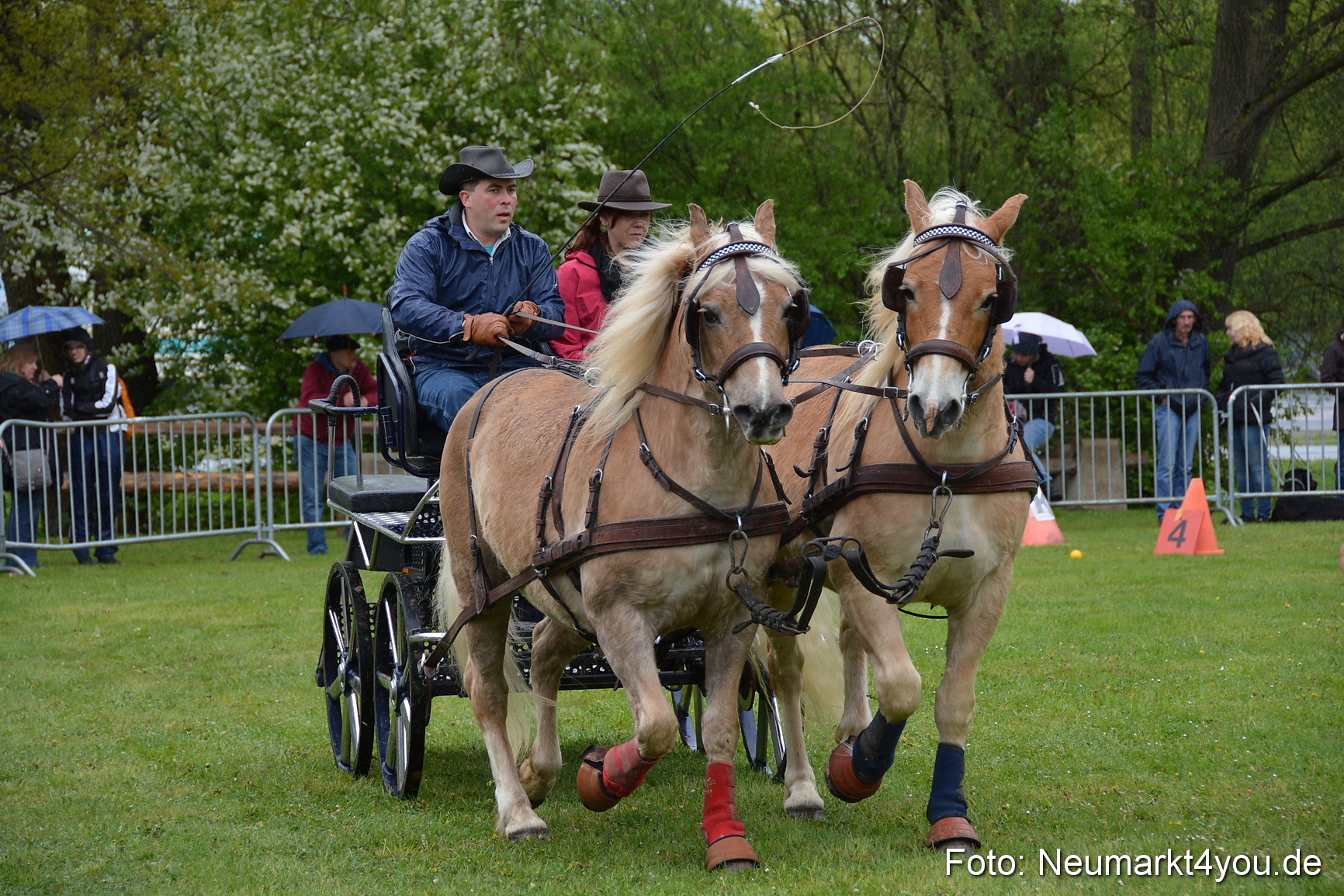 Haflingertreffen Fruehlingsfest 010515 0136