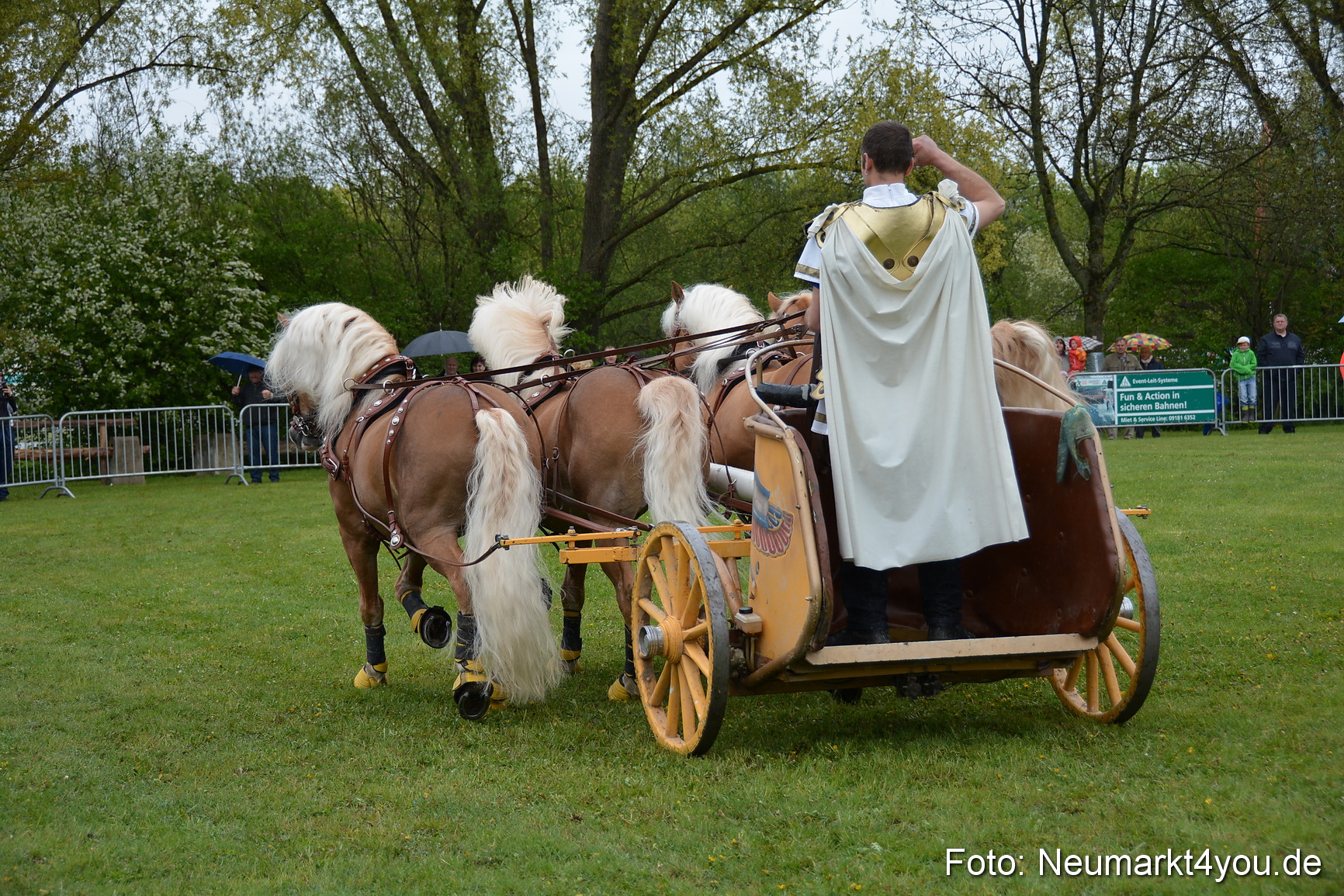 Haflingertreffen Fruehlingsfest 010515 0144