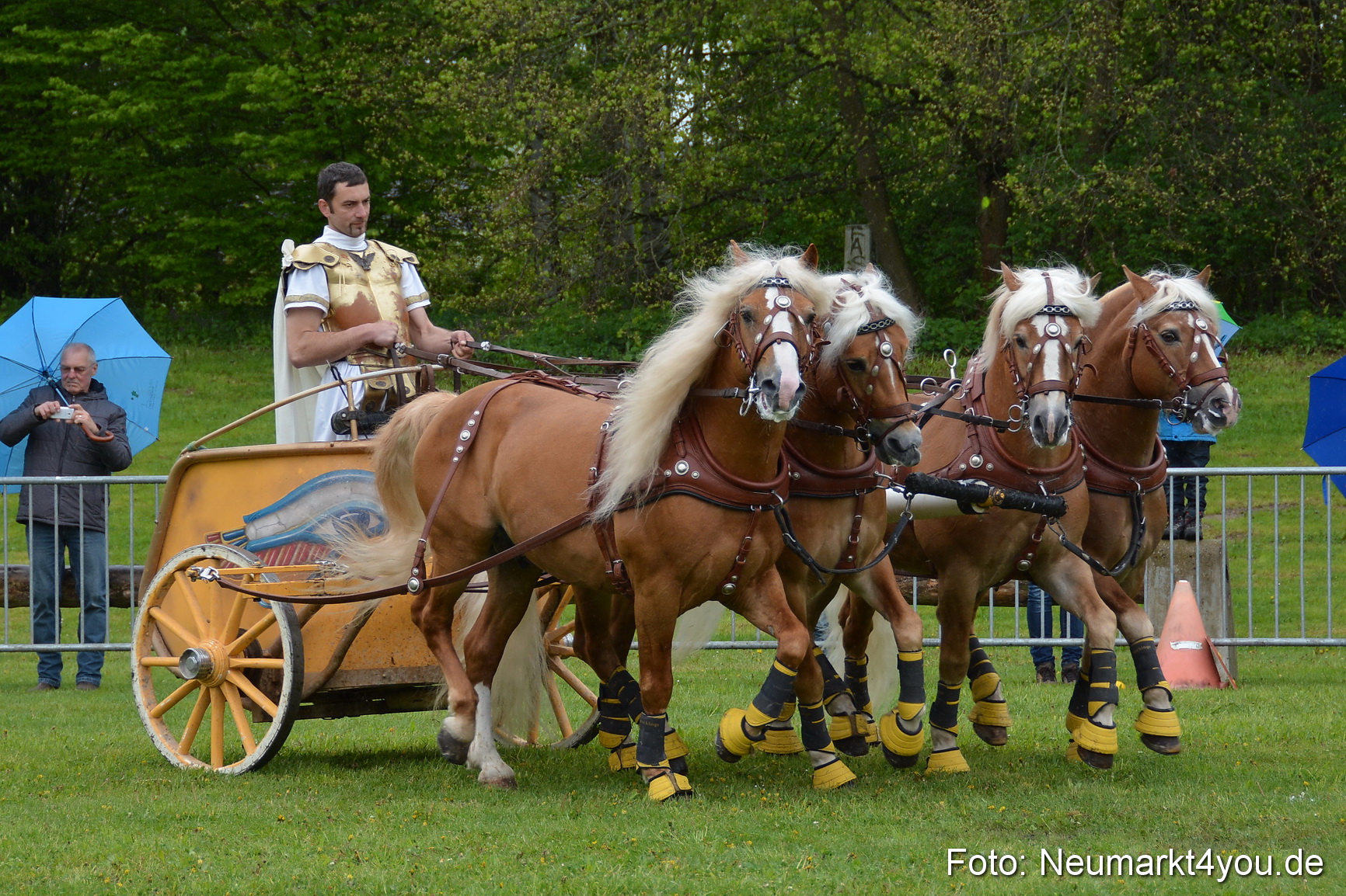 Haflingertreffen Fruehlingsfest 010515 0146