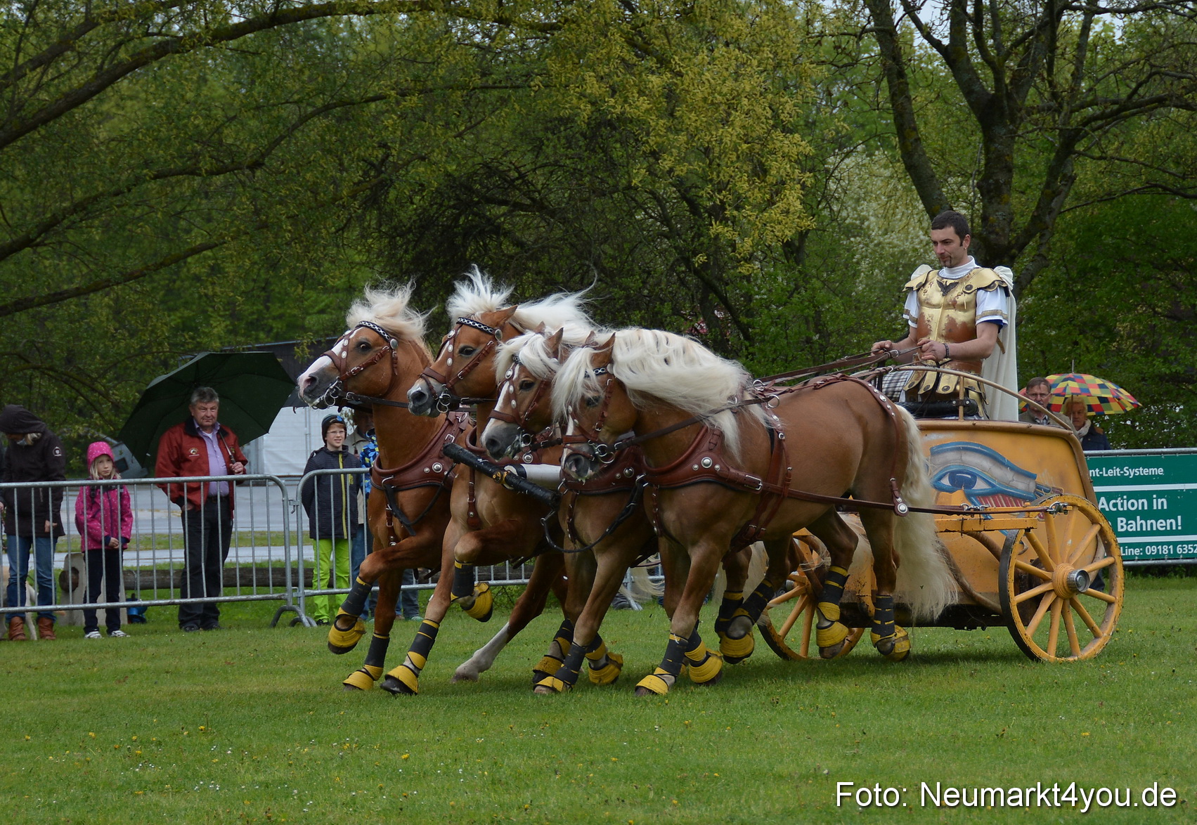 Haflingertreffen Fruehlingsfest 010515 0153