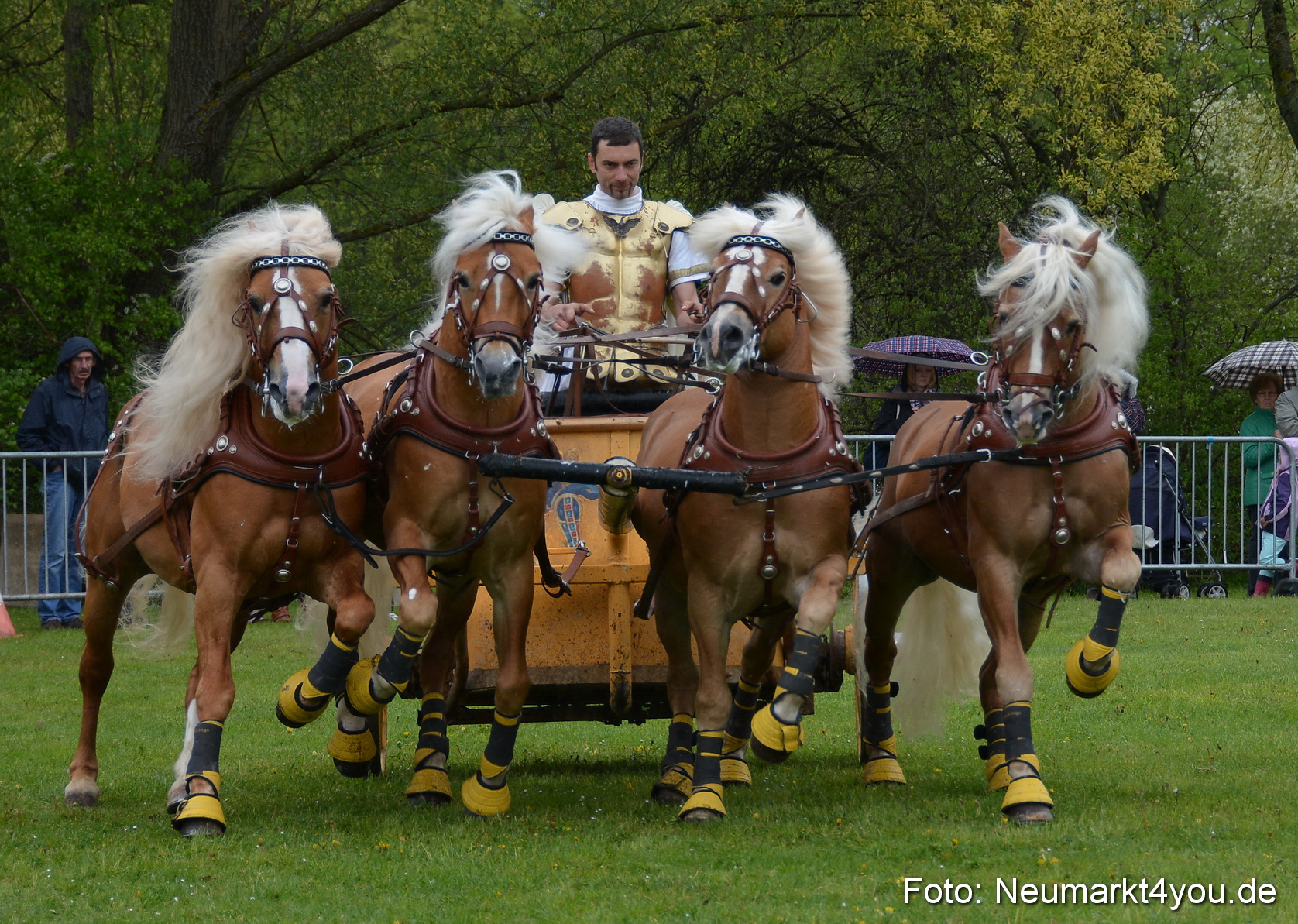 Haflingertreffen Fruehlingsfest 010515 0155