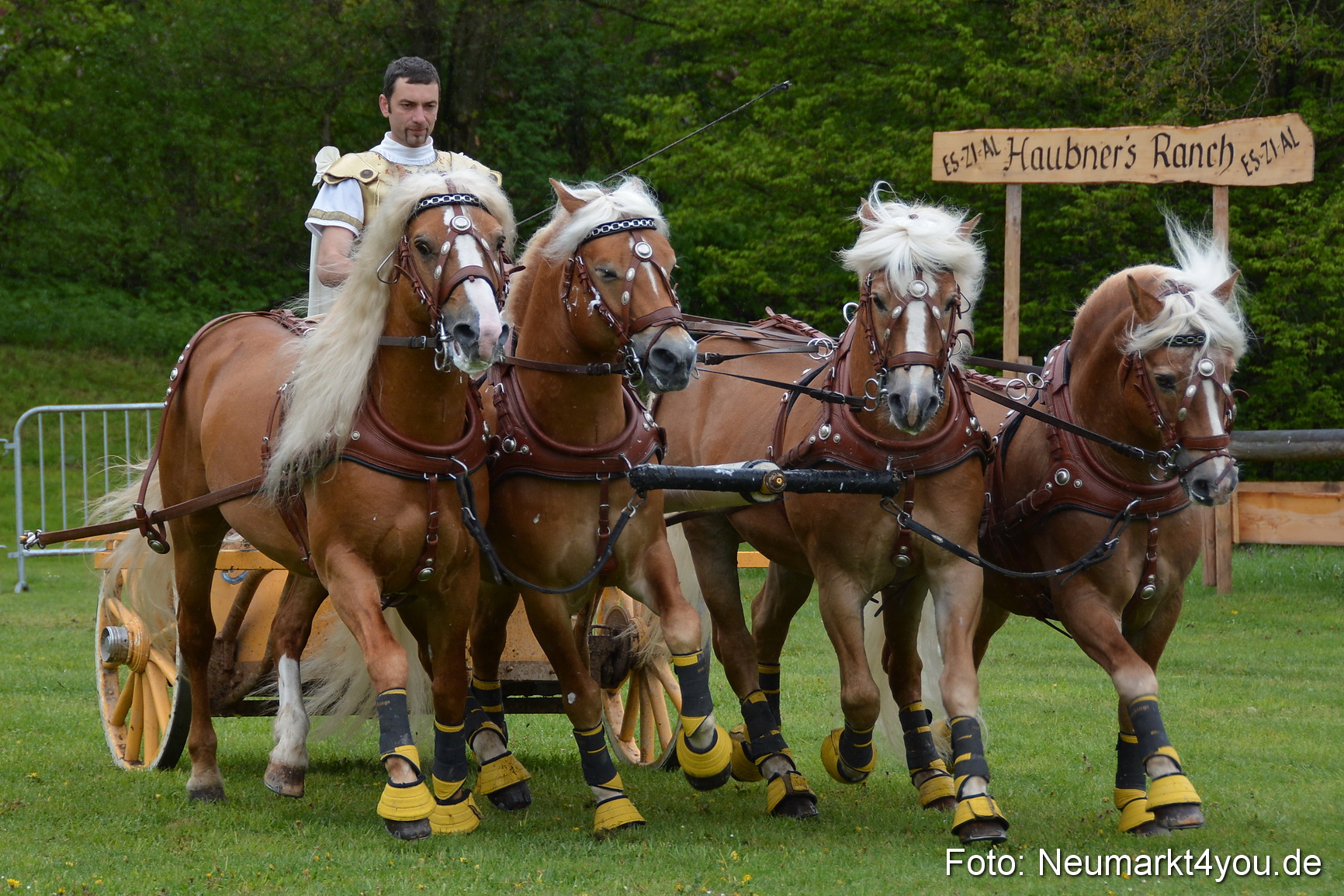 Haflingertreffen Fruehlingsfest 010515 0158