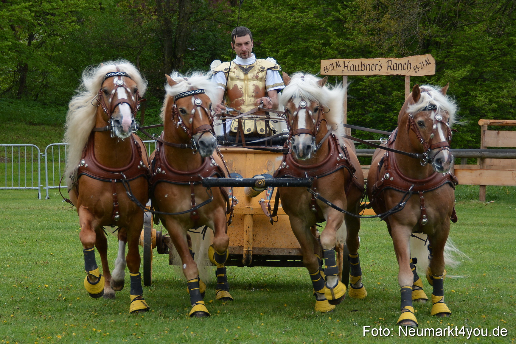 Haflingertreffen Fruehlingsfest 010515 0159