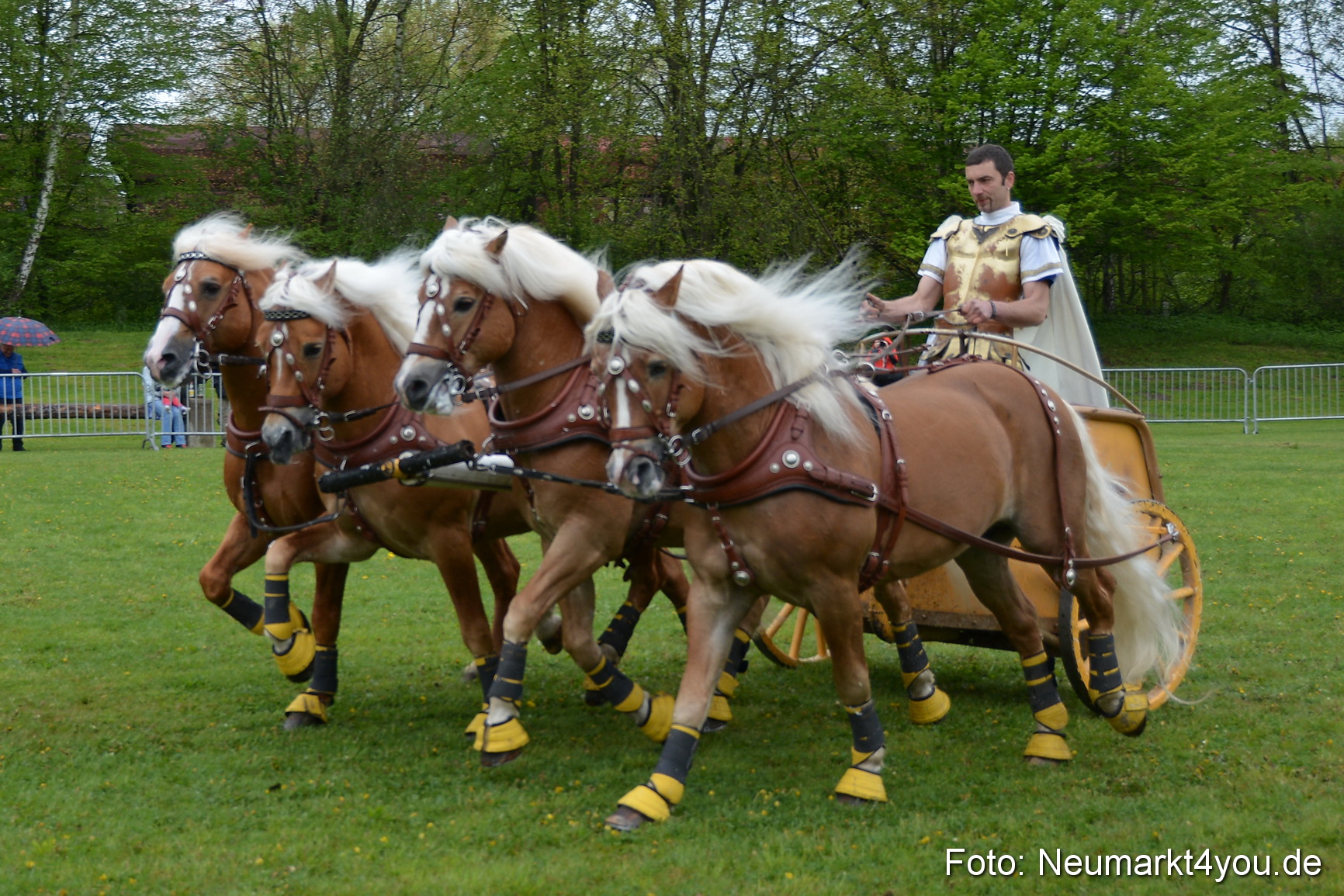 Haflingertreffen Fruehlingsfest 010515 0160