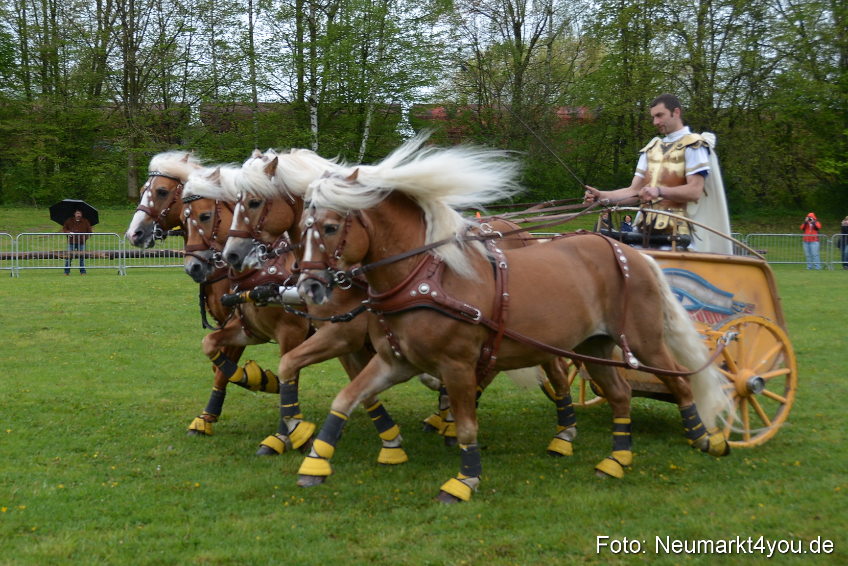 Haflingertreffen Fruehlingsfest 010515 0161