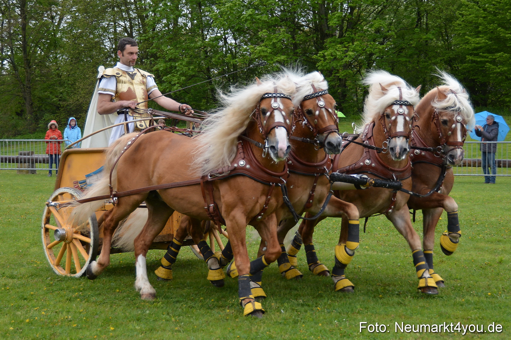 Haflingertreffen Fruehlingsfest 010515 0165