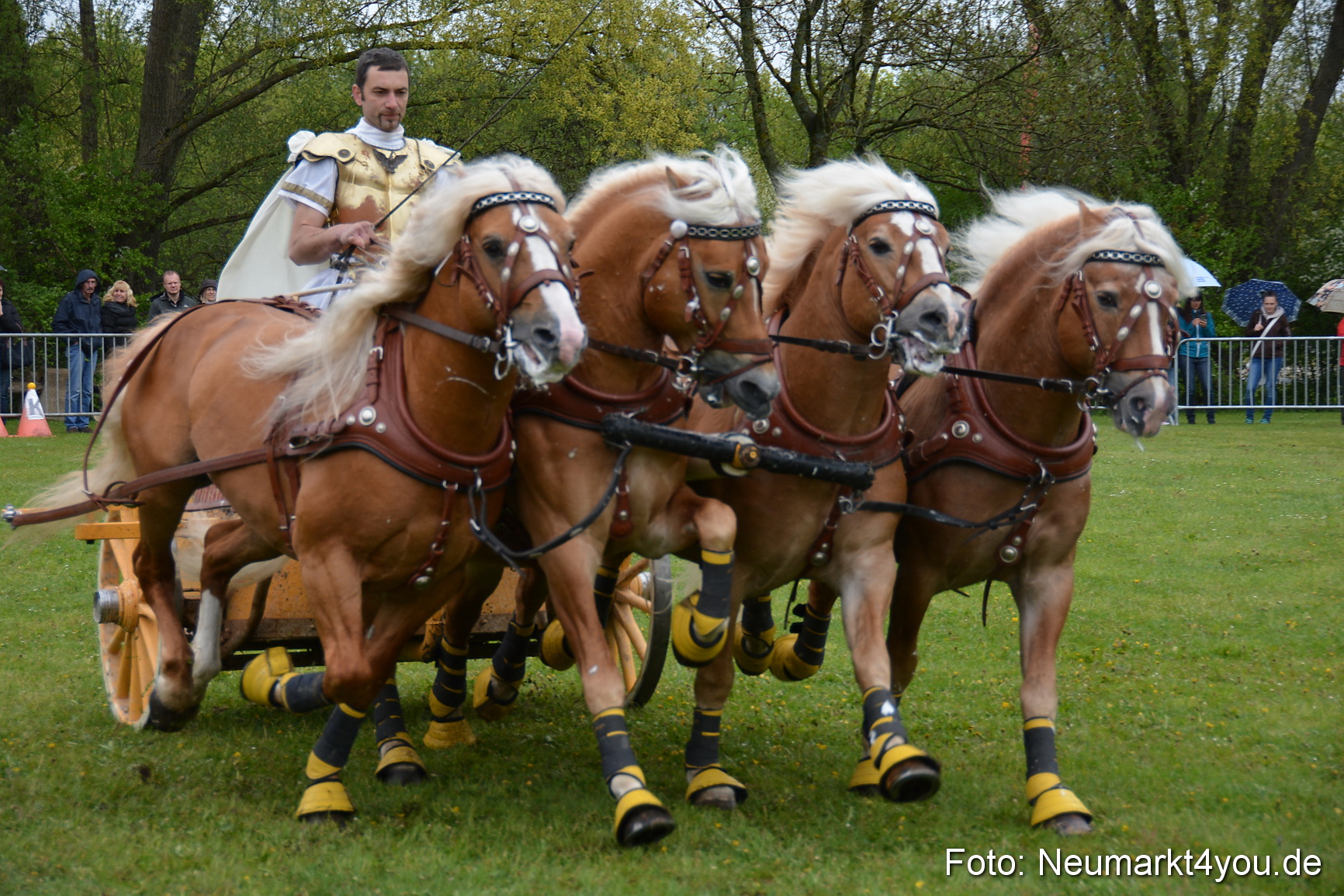 Haflingertreffen Fruehlingsfest 010515 0168