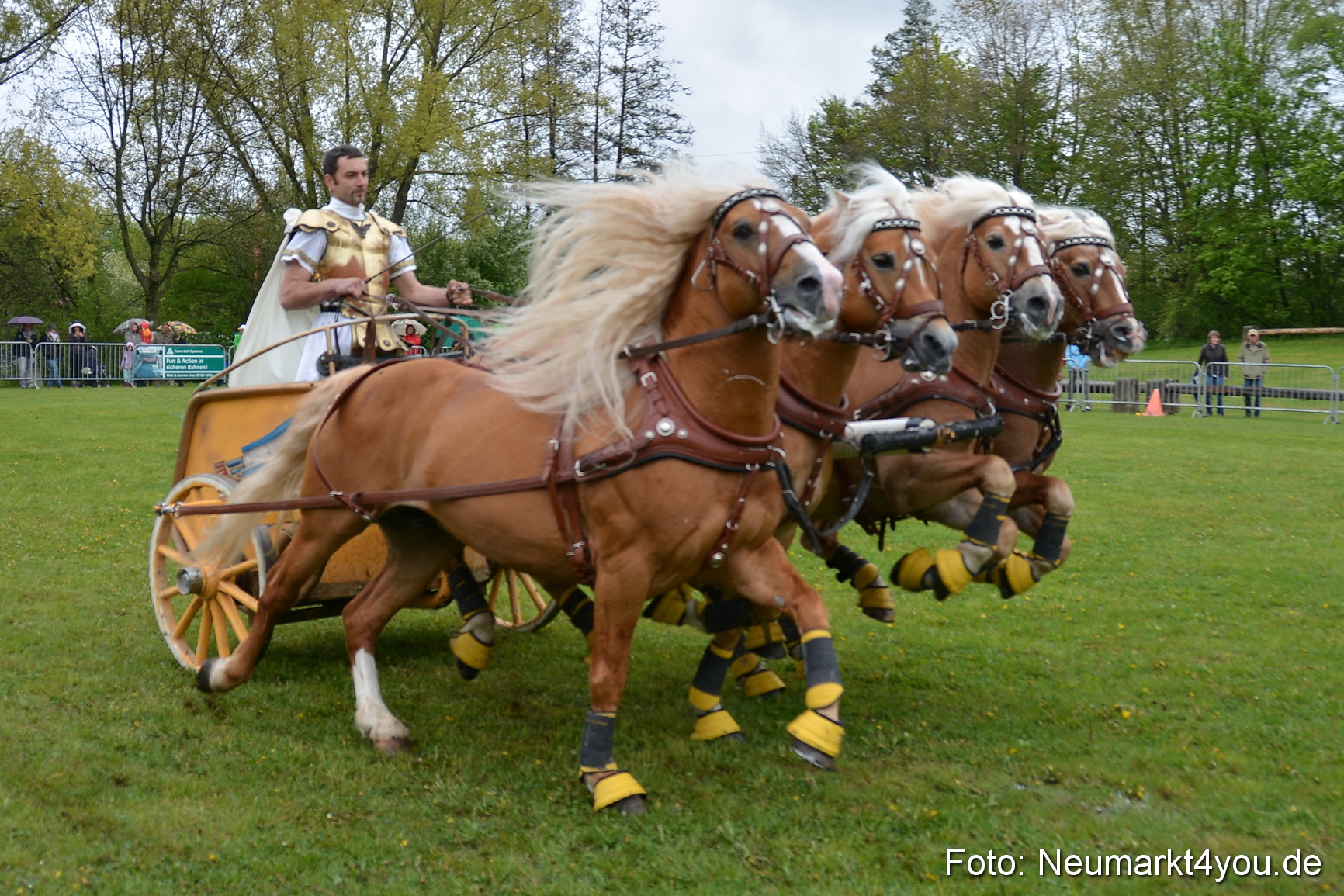 Haflingertreffen Fruehlingsfest 010515 0171
