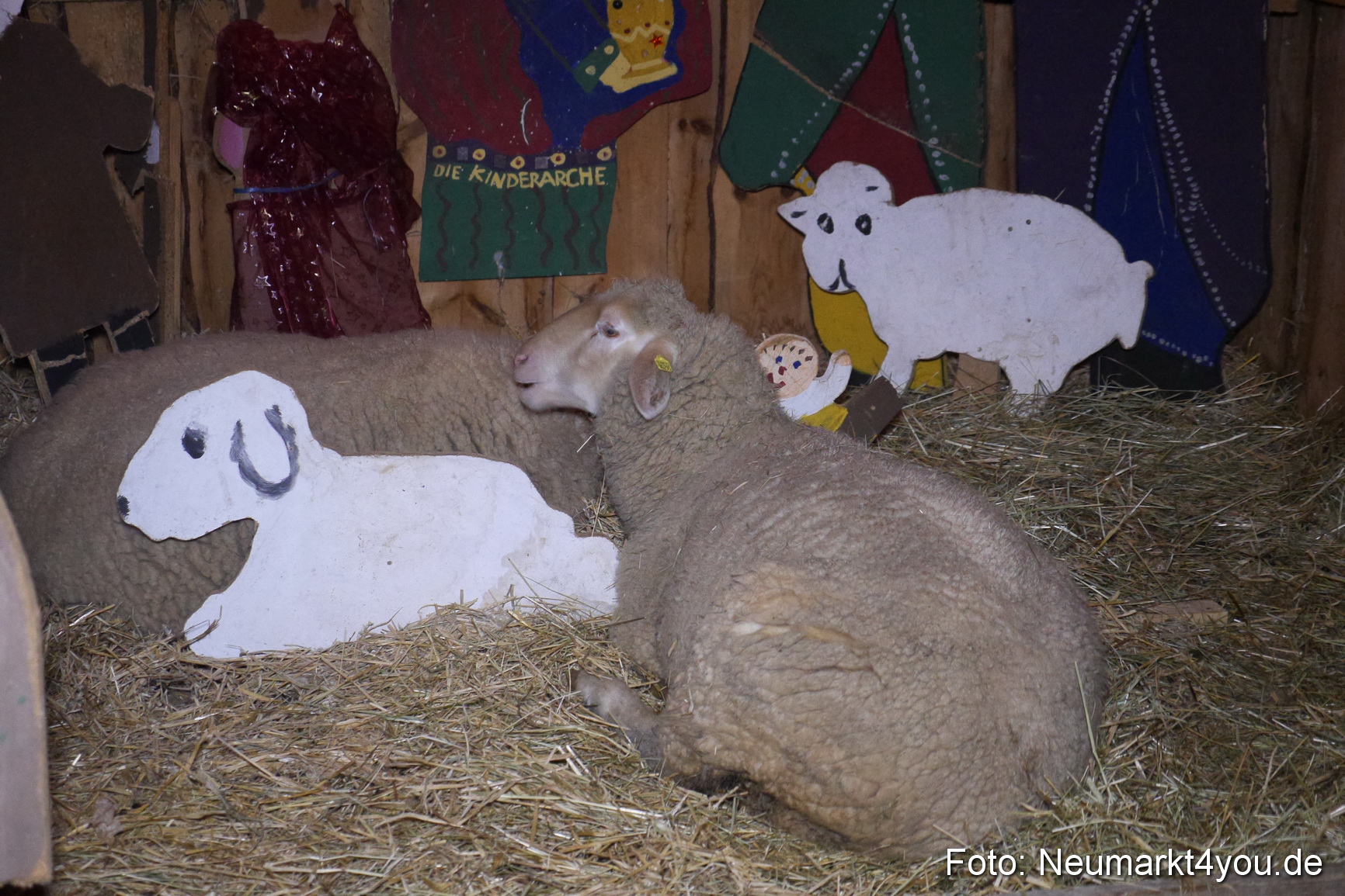 Krippenspiel Weihnachtsmarkt Neumarkt 271115 0037