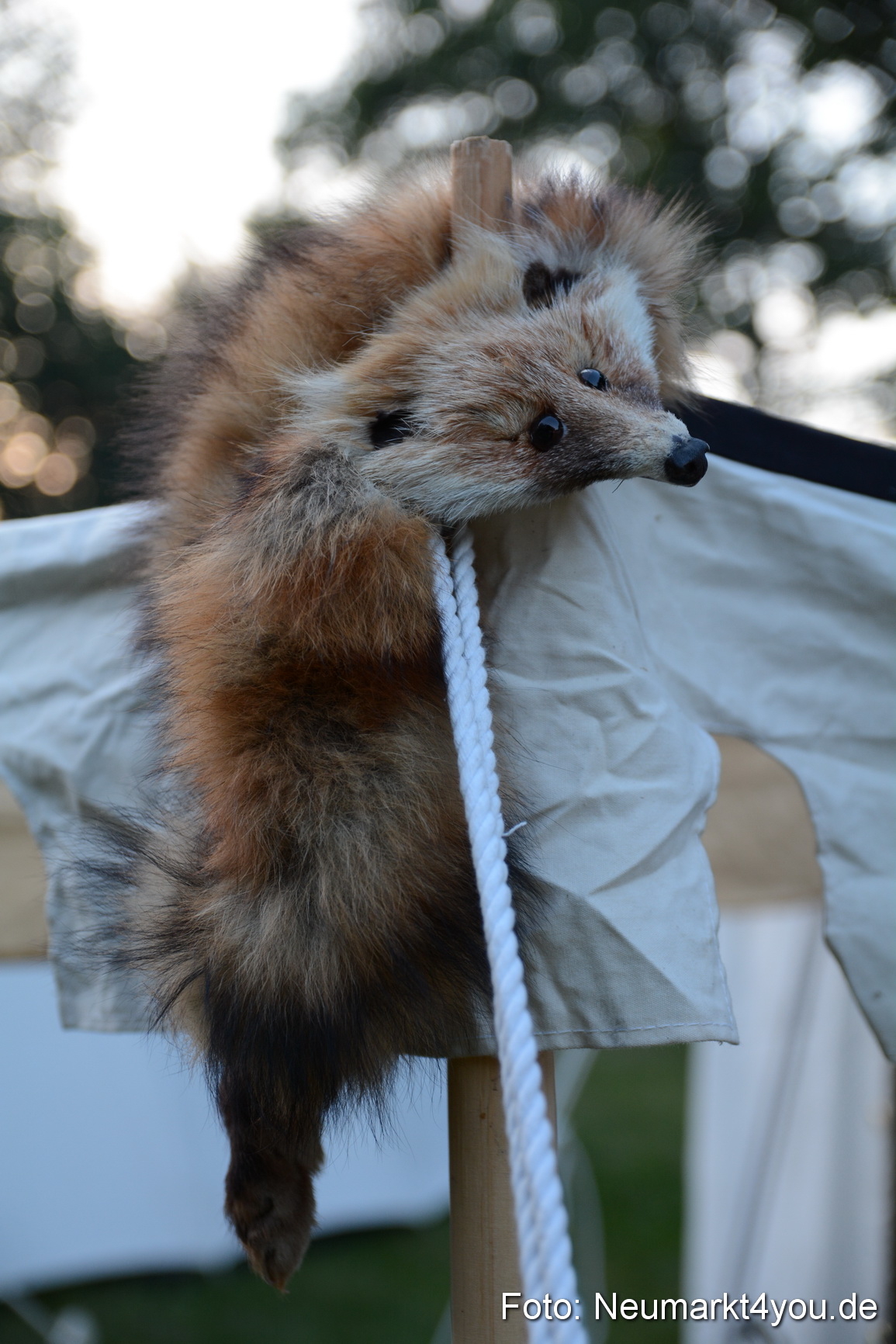 Altstadtfest Neumarkt 2016 0180