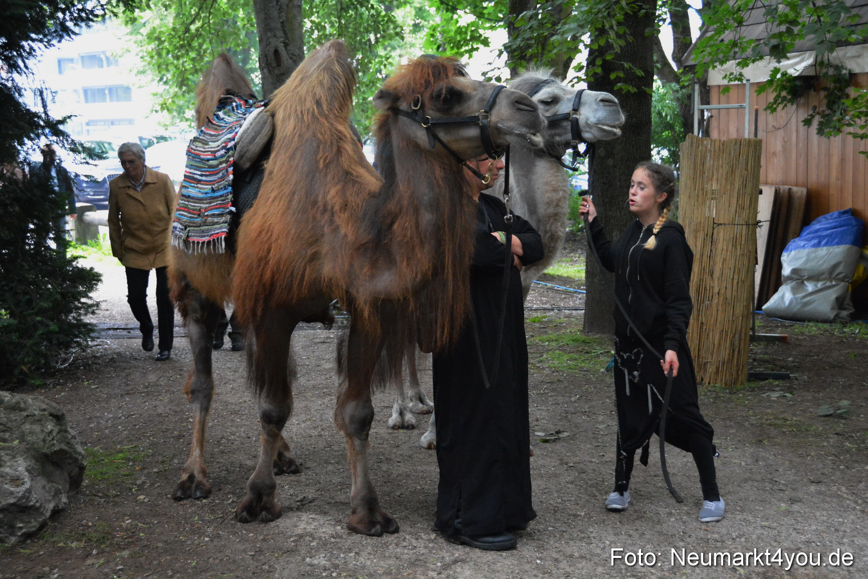 Altstadtfest Neumarkt 2016 0303