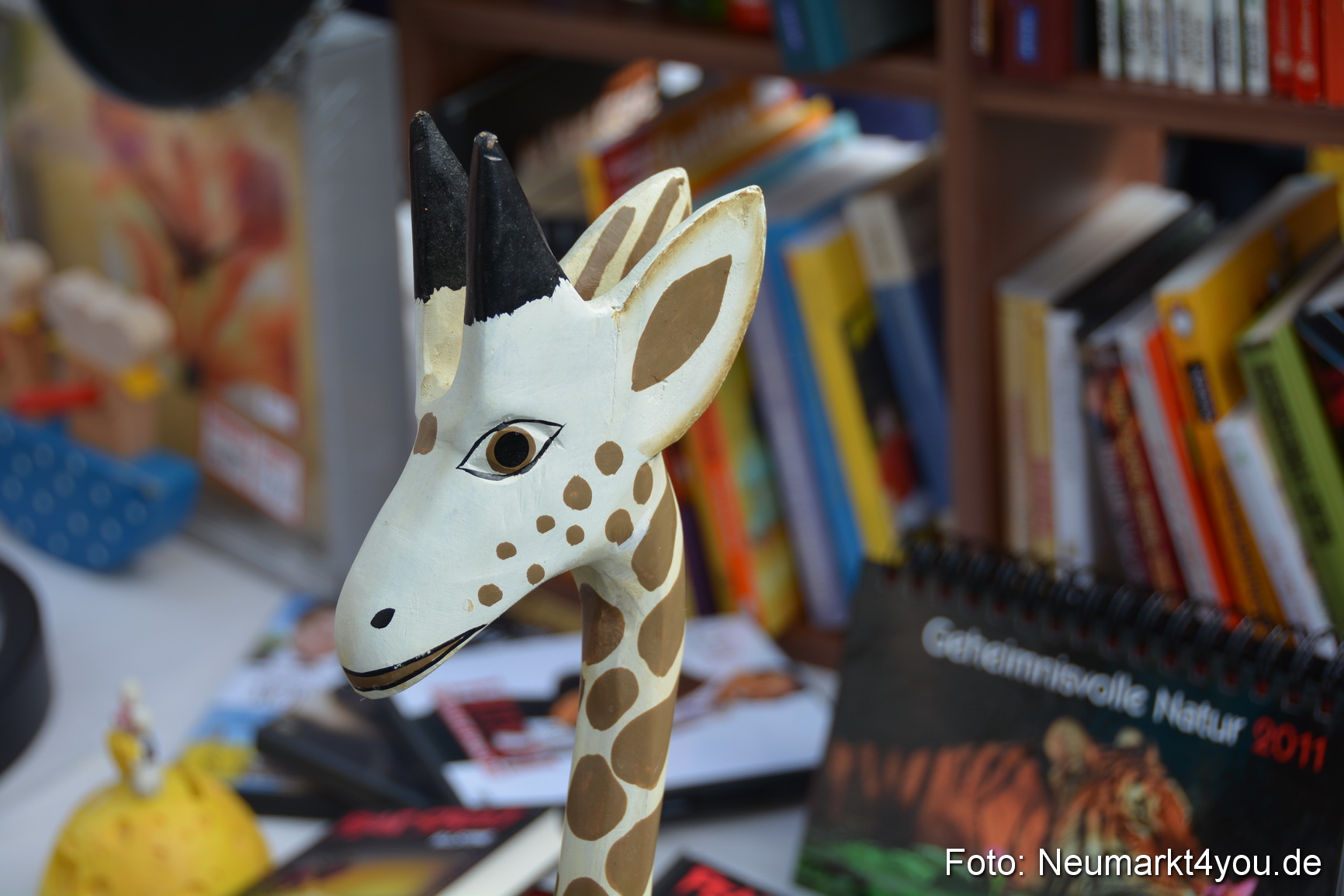 Altstadtflohmarkt Neumarkt 060816 0087