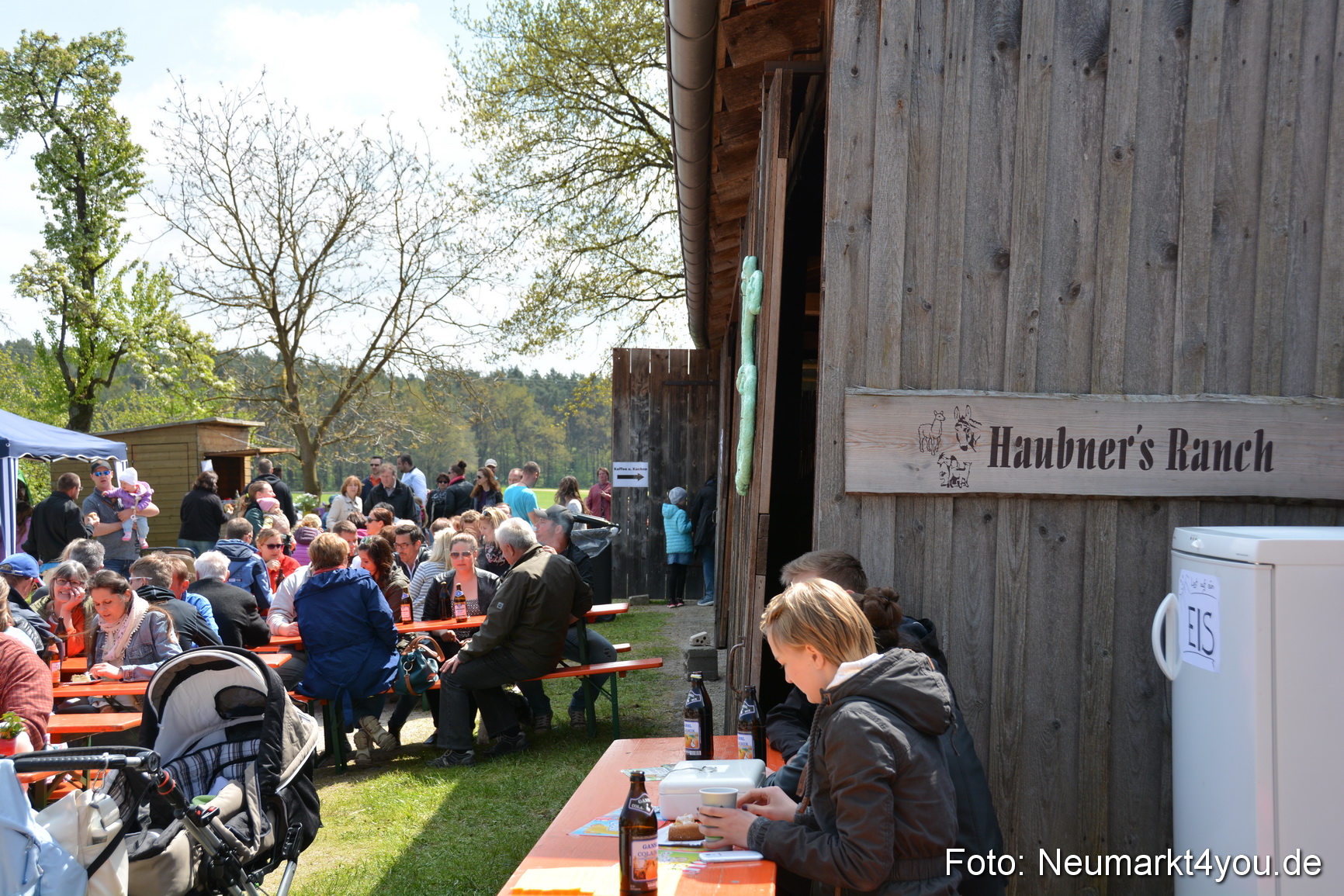 Eselfest in Stauf 050516 0002