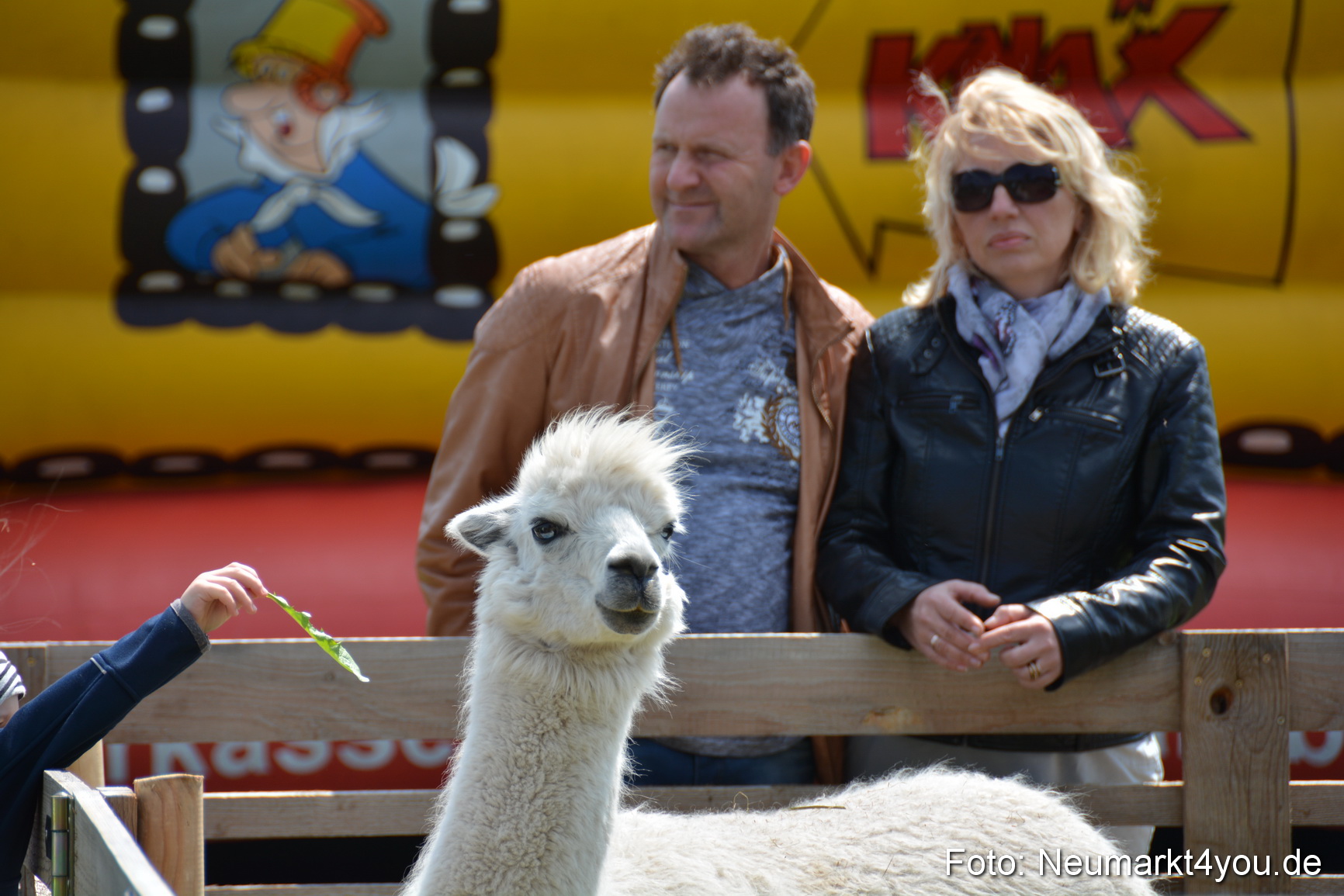 Eselfest in Stauf 050516 0010