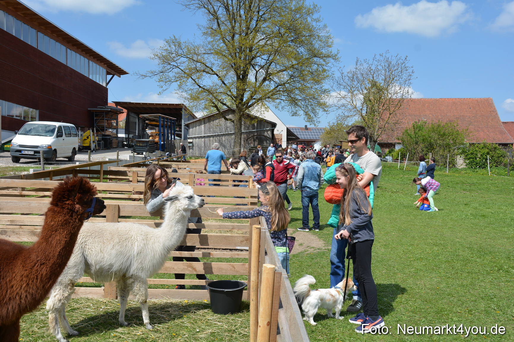 Eselfest in Stauf 050516 0012