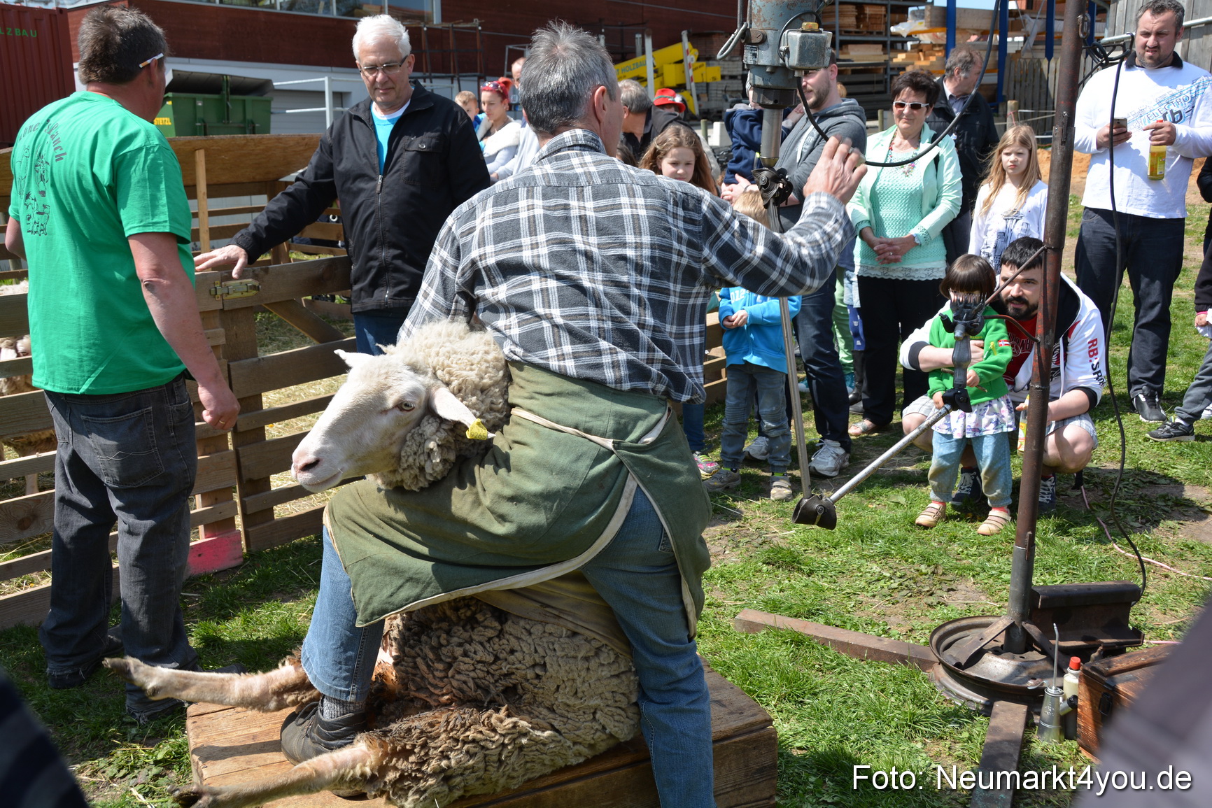 Eselfest in Stauf 050516 0026