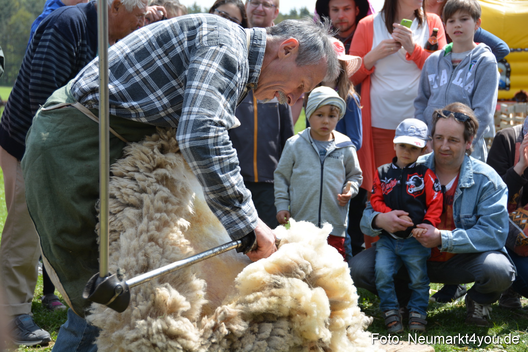 Eselfest in Stauf 050516 0027