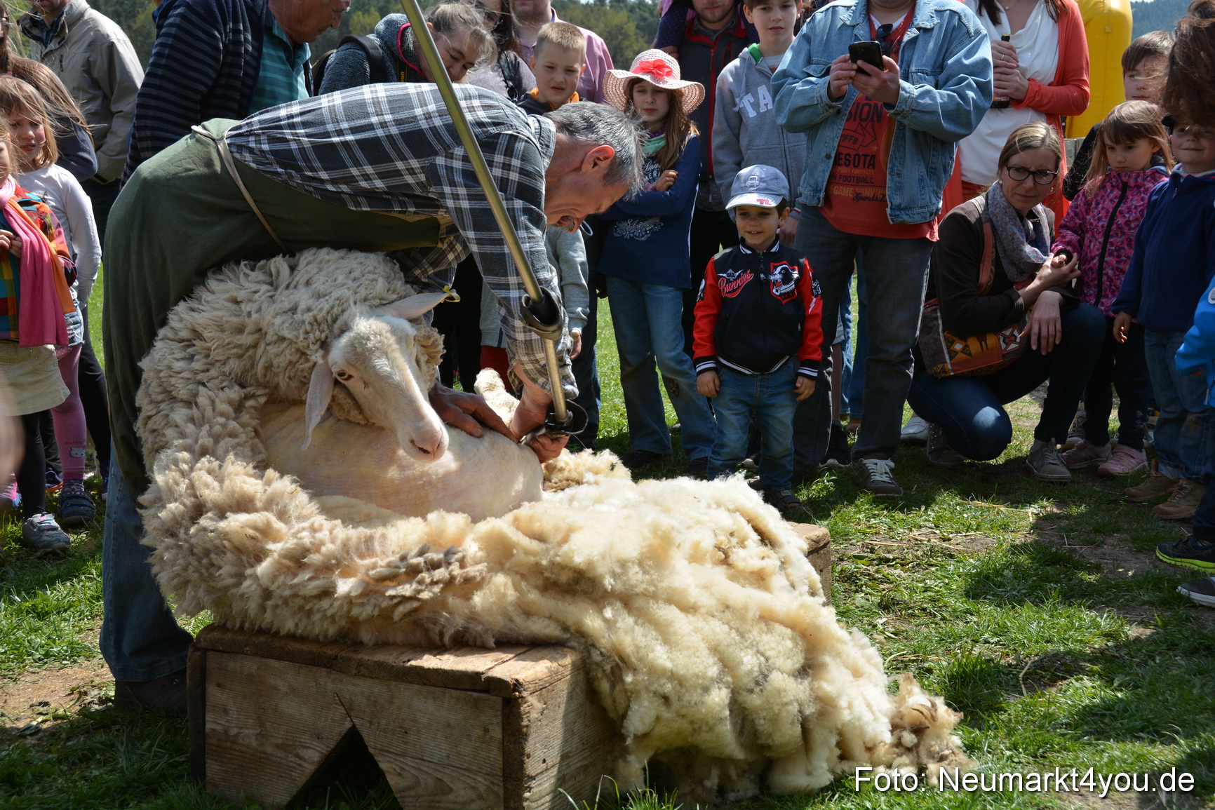 Eselfest in Stauf 050516 0028