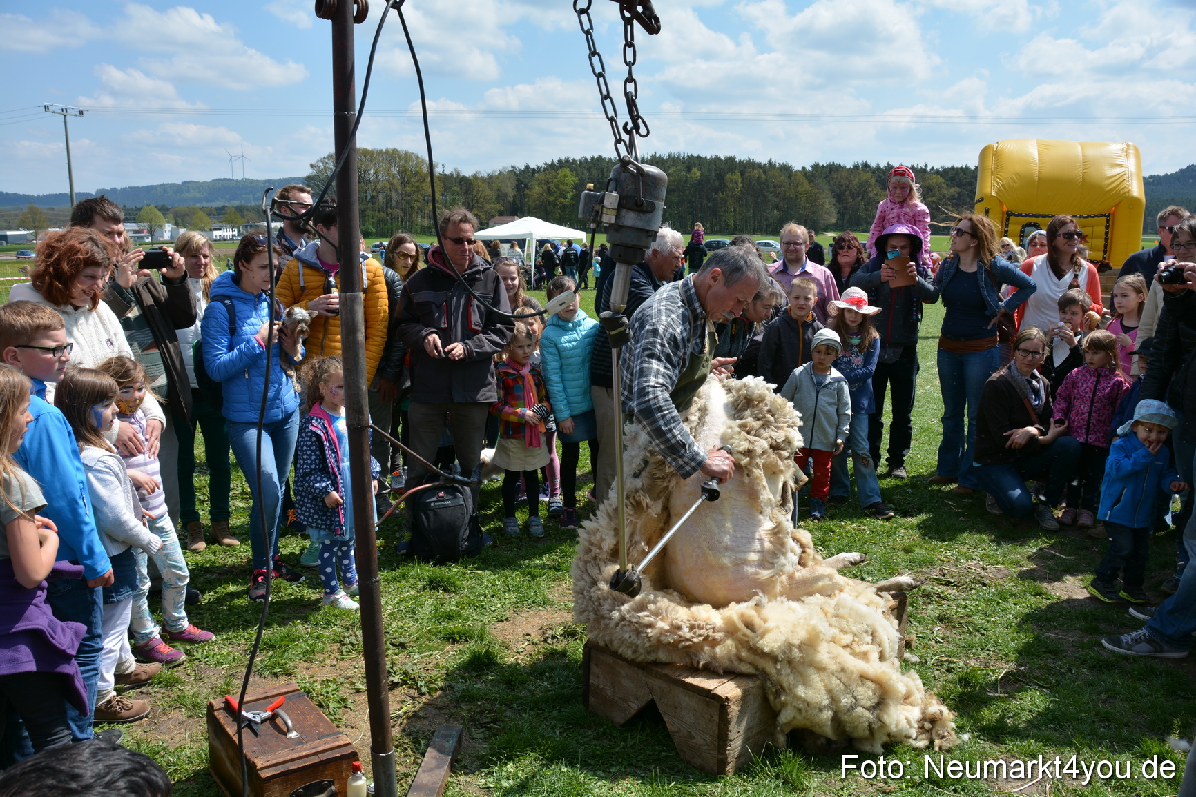 Eselfest in Stauf 050516 0029