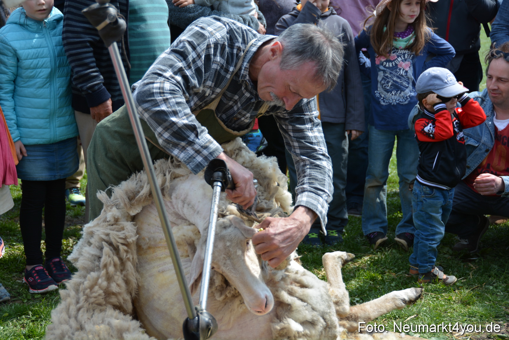 Eselfest in Stauf 050516 0030