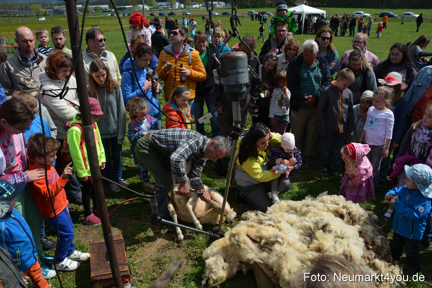 Eselfest in Stauf 050516 0032