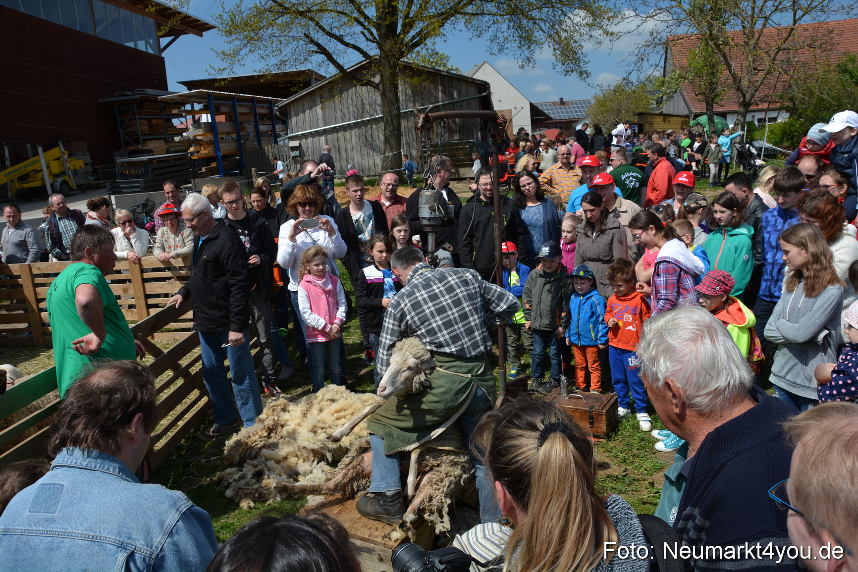 Eselfest in Stauf 050516 0034