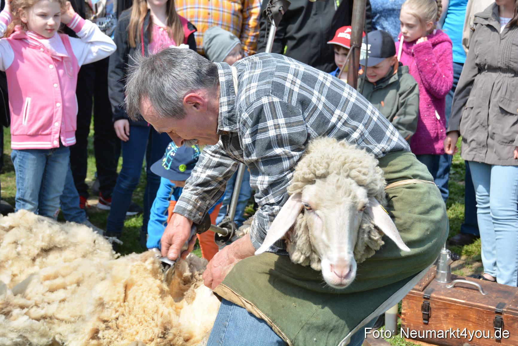 Eselfest in Stauf 050516 0036