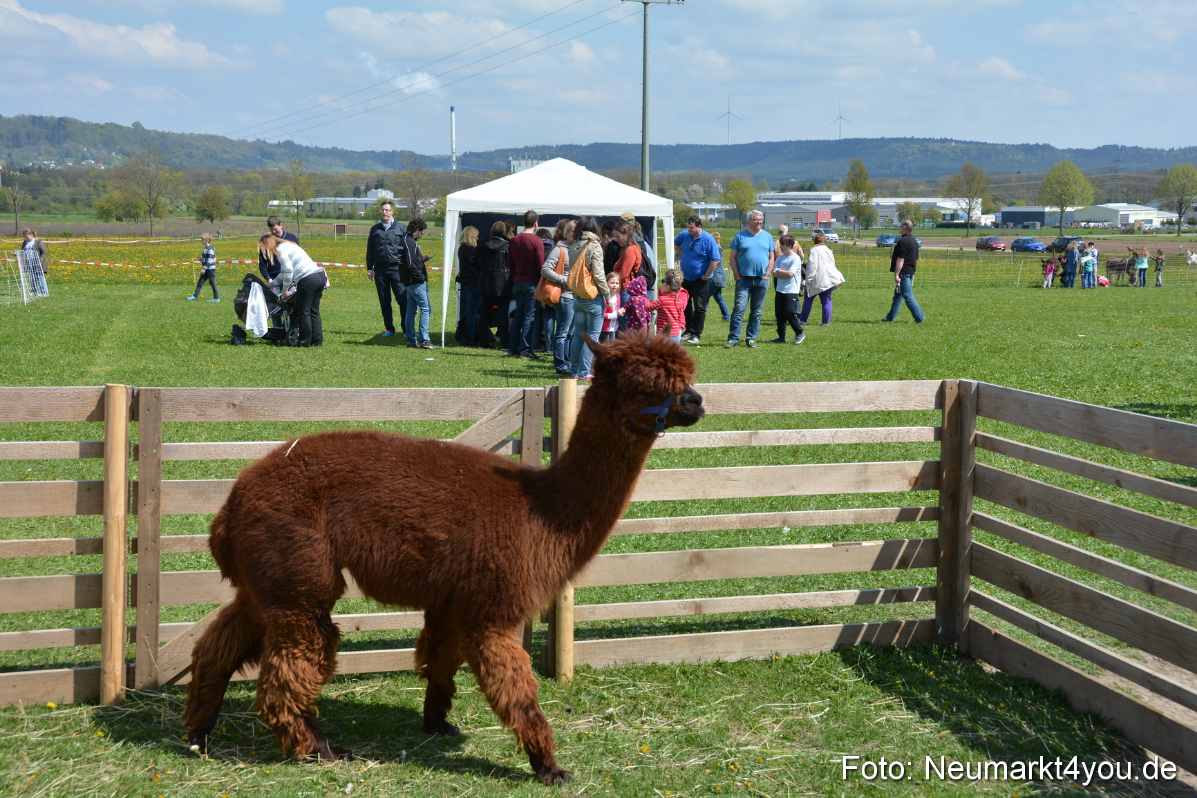Eselfest in Stauf 050516 0043
