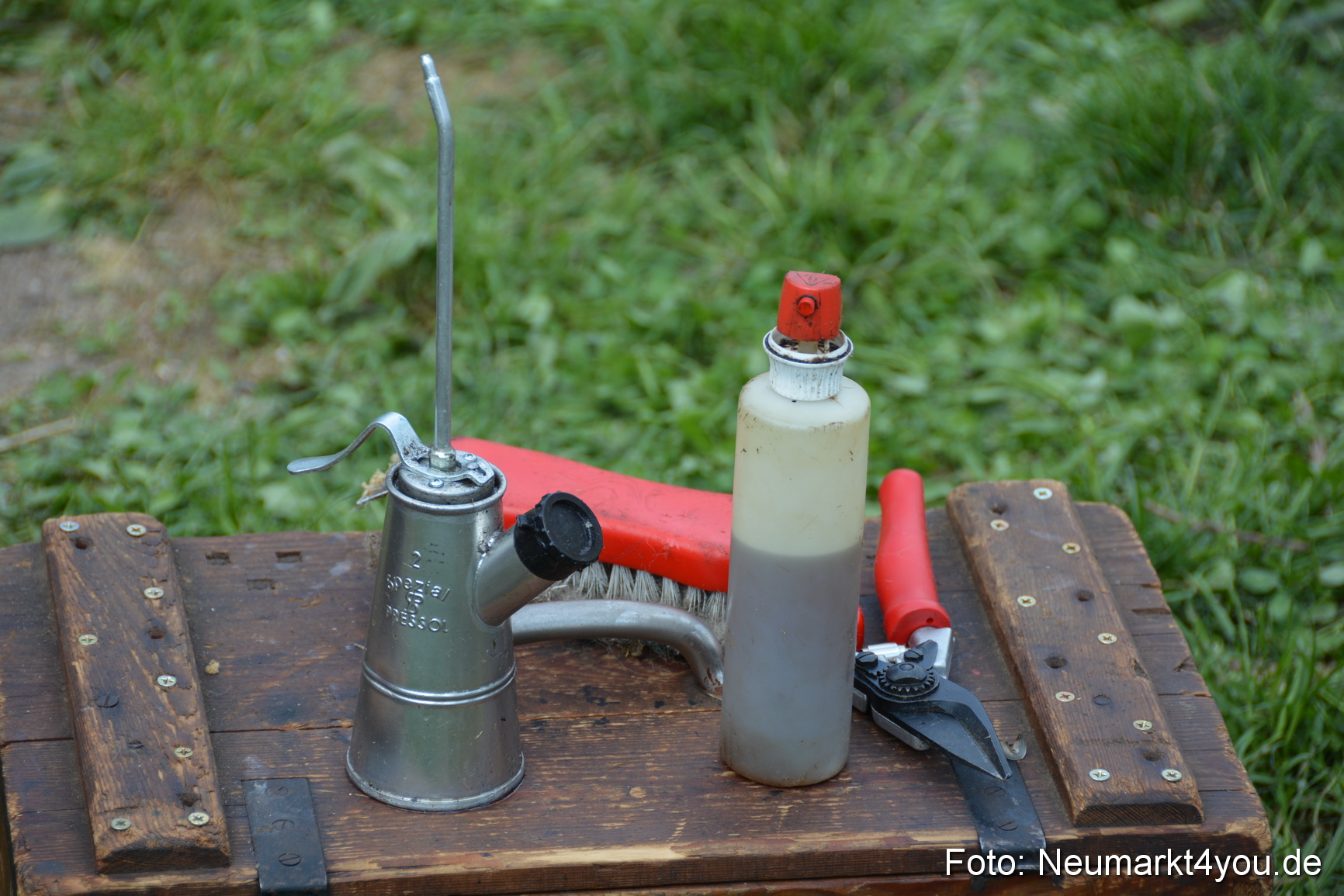 Eselfest in Stauf 050516 0051