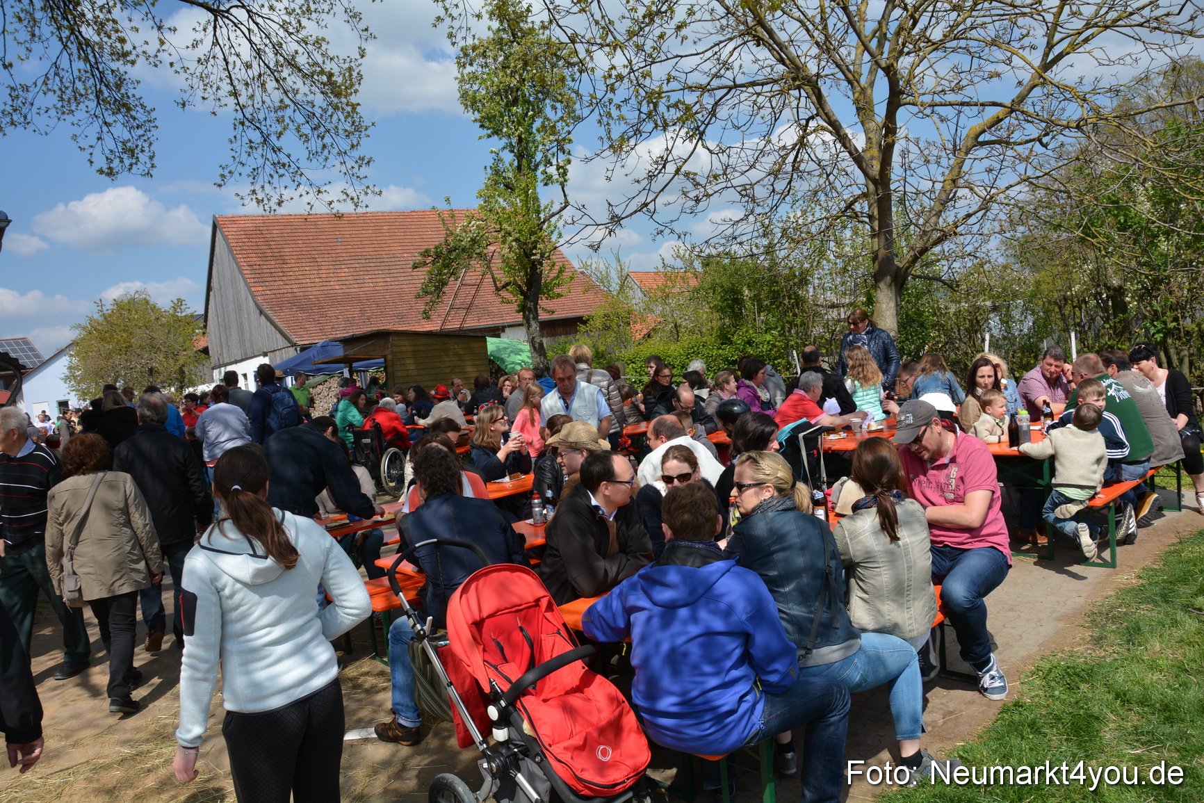 Eselfest in Stauf 050516 0052