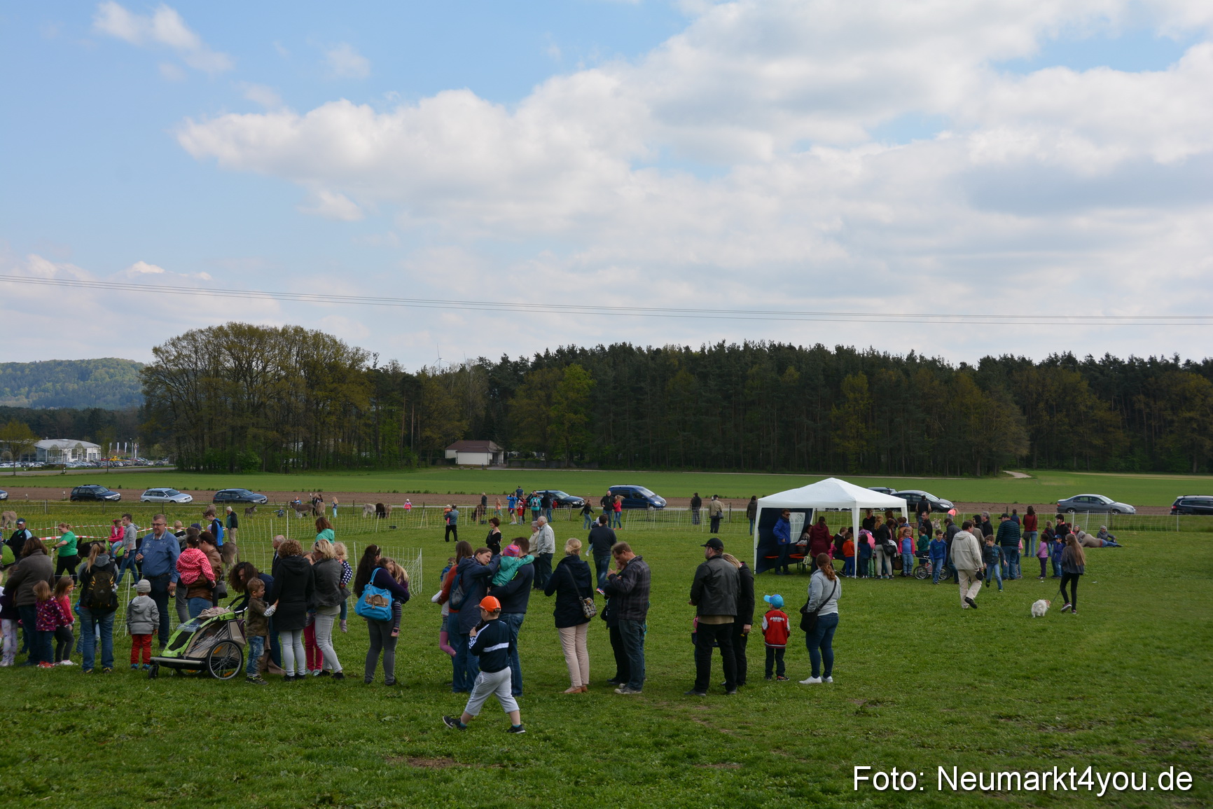 Eselfest in Stauf 050516 0059