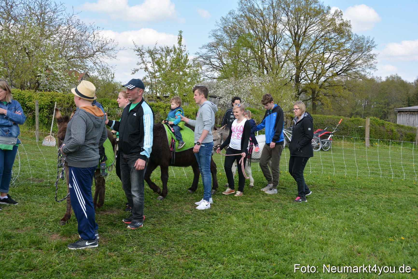 Eselfest in Stauf 050516 0060