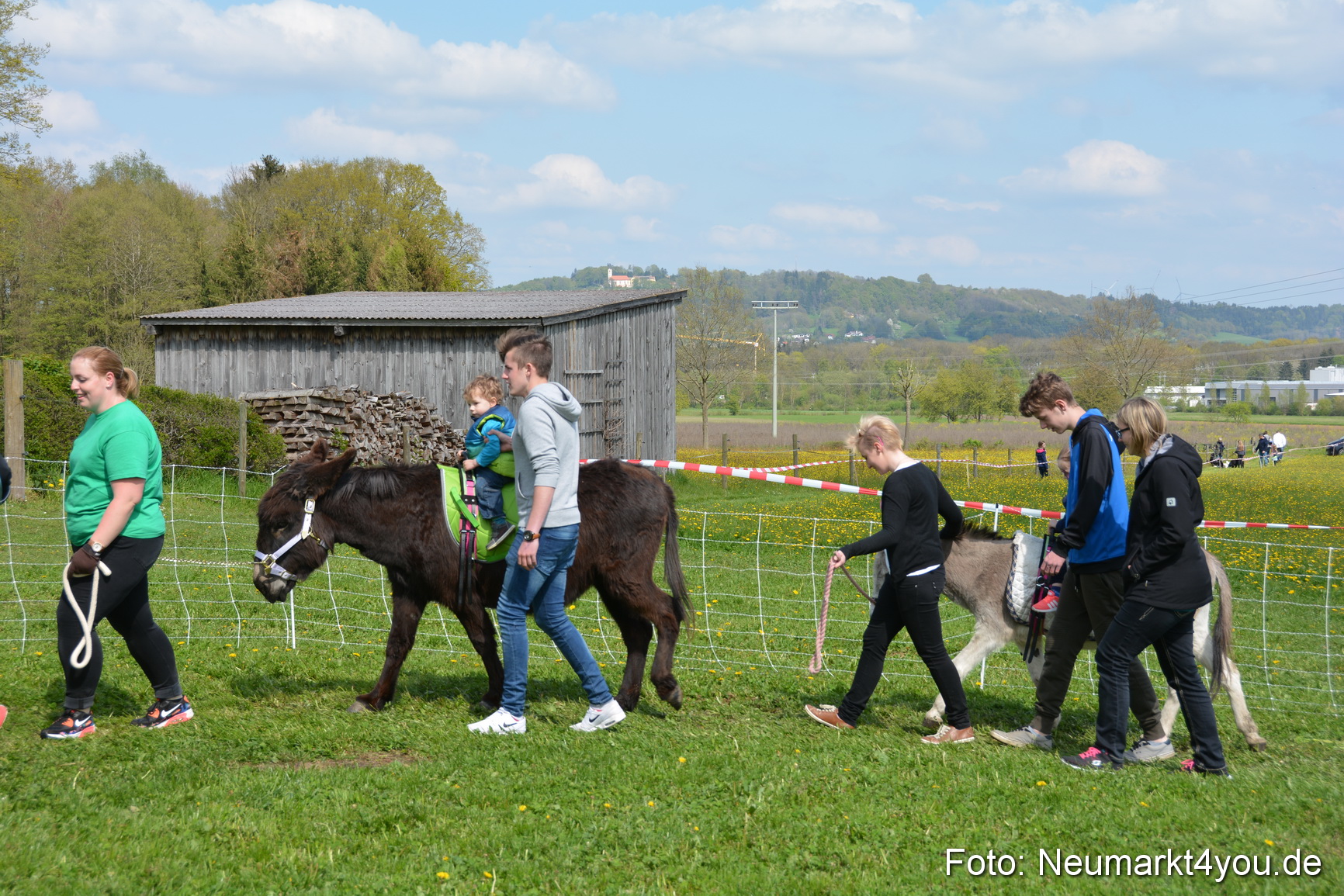 Eselfest in Stauf 050516 0062